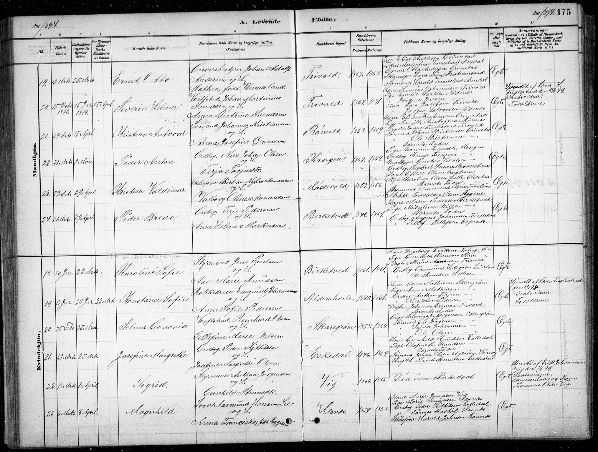 Fjære sokneprestkontor, AV/SAK-1111-0011/F/Fb/L0011: Klokkerbok nr. B 11, 1881-1905, s. 175
