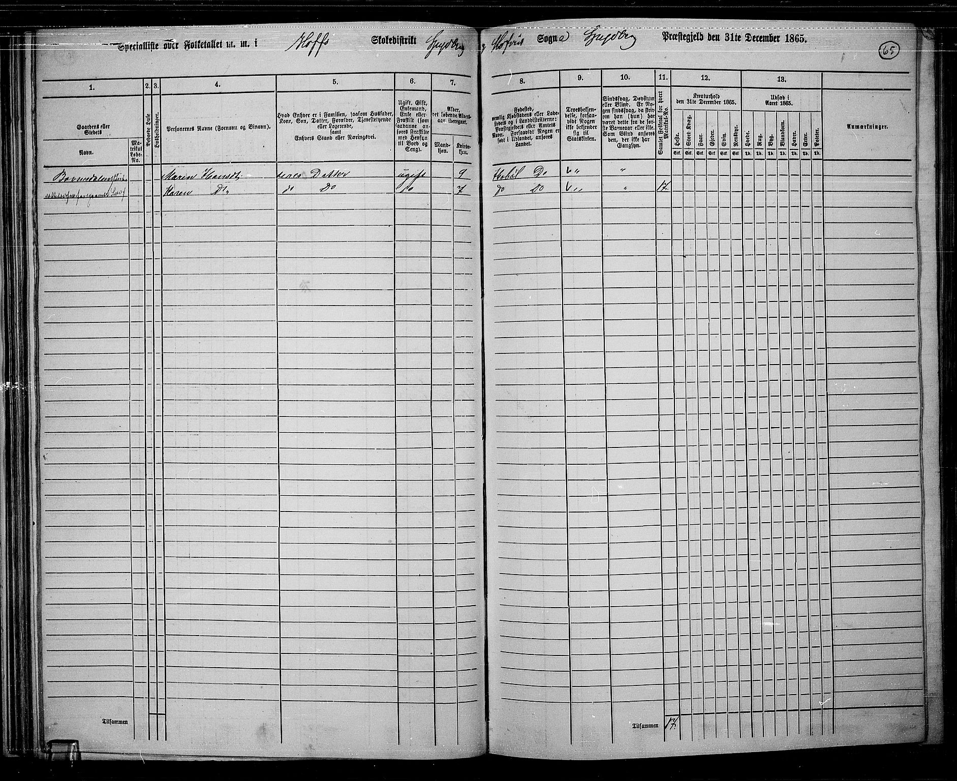 RA, Folketelling 1865 for 0123P Spydeberg prestegjeld, 1865, s. 61