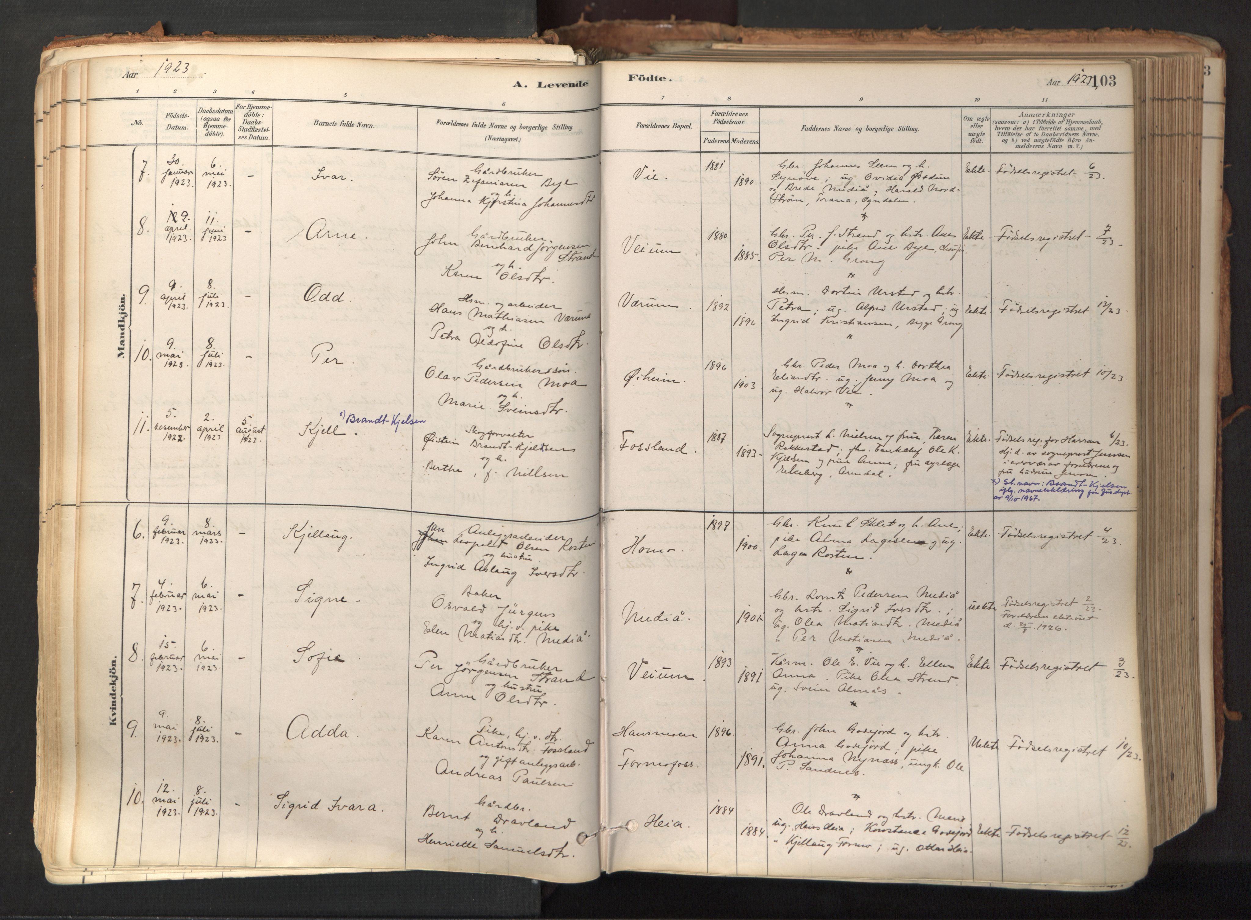 Ministerialprotokoller, klokkerbøker og fødselsregistre - Nord-Trøndelag, AV/SAT-A-1458/758/L0519: Ministerialbok nr. 758A04, 1880-1926, s. 103