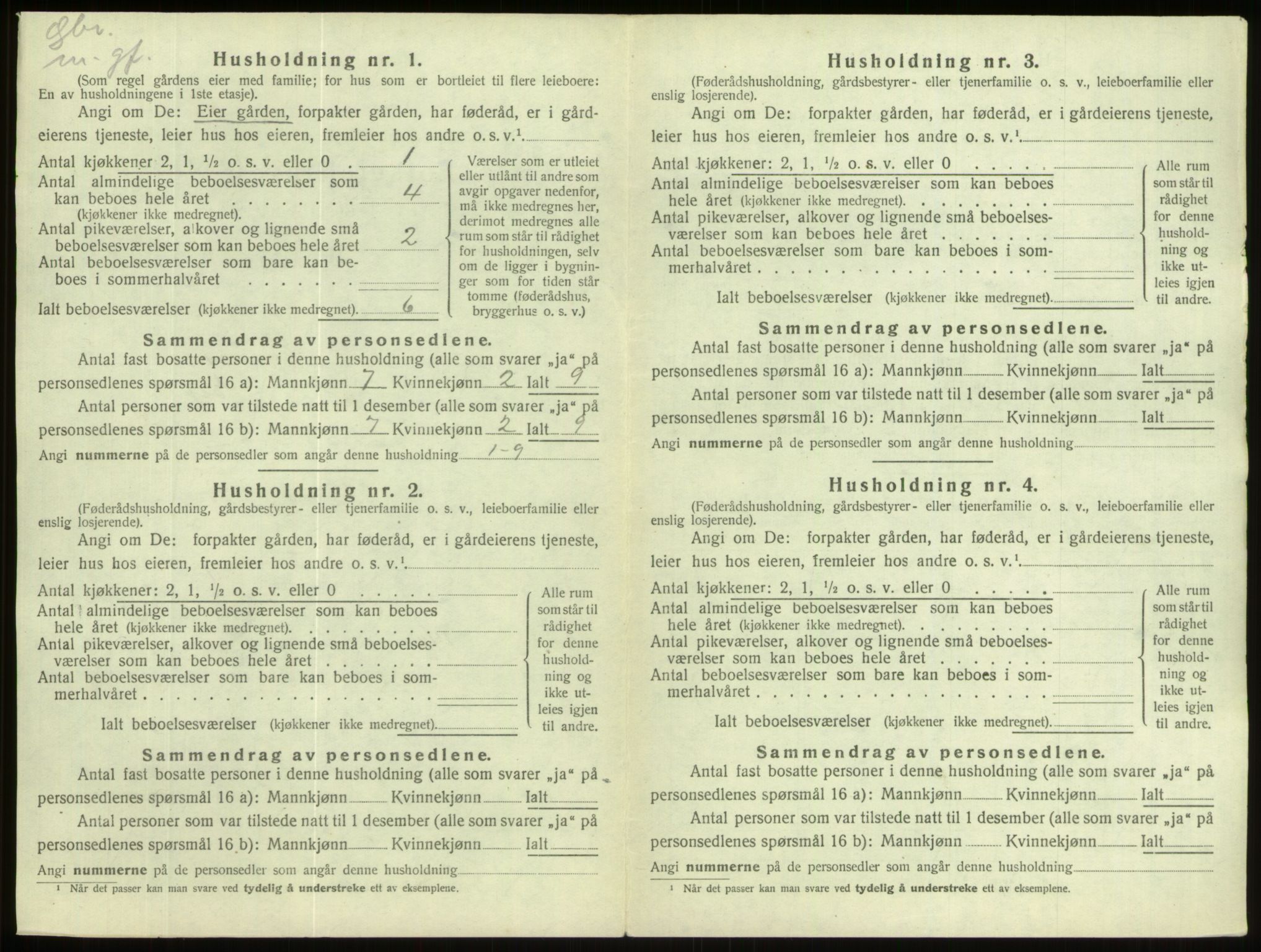 SAB, Folketelling 1920 for 1444 Hornindal herred, 1920, s. 318