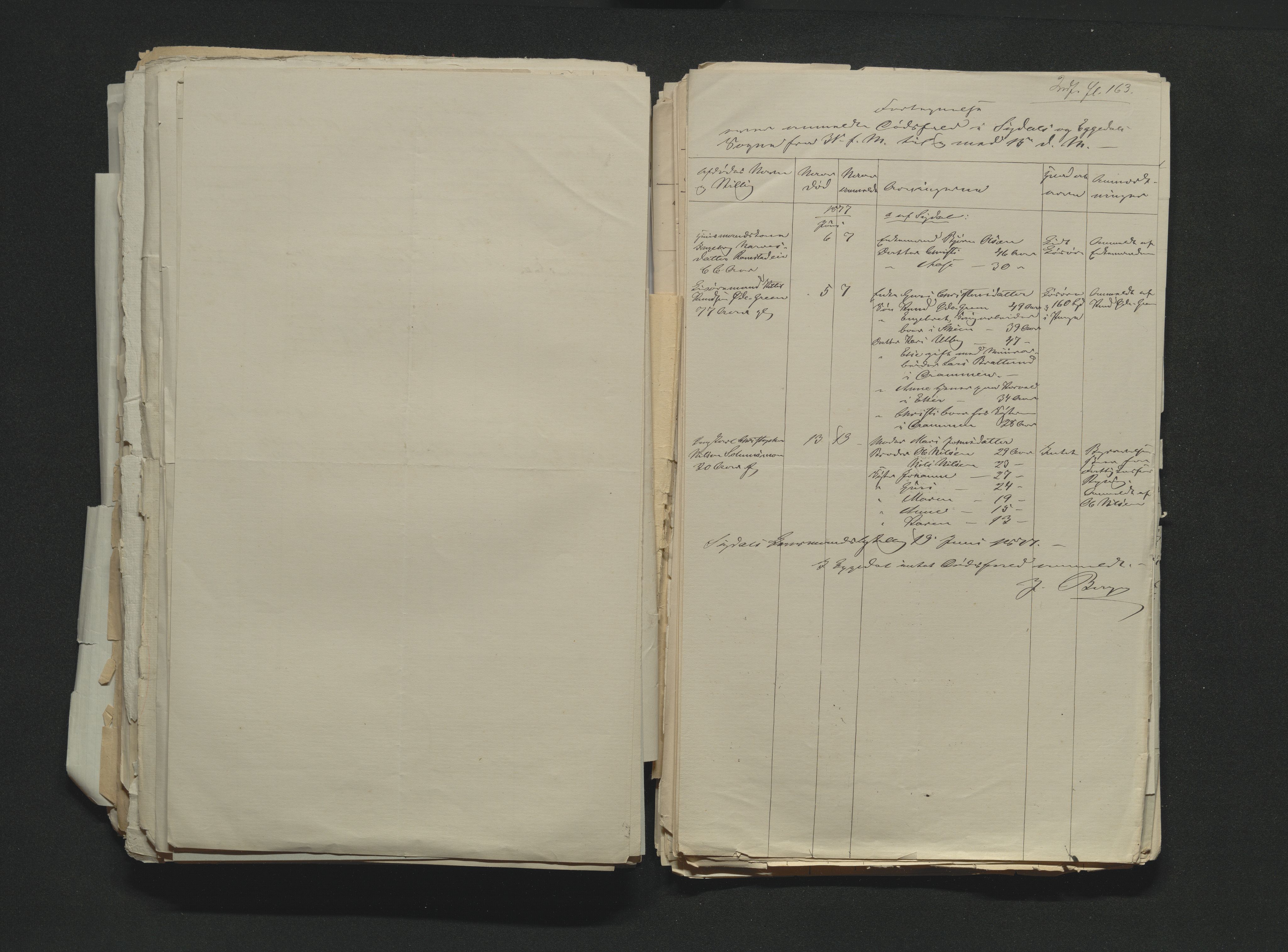 Eiker, Modum og Sigdal sorenskriveri, AV/SAKO-A-123/H/Ha/Hab/L0014: Dødsfallsmeldinger, 1874-1877, s. 715