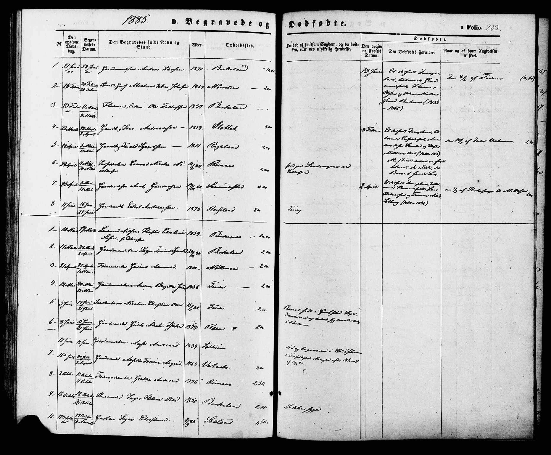 Birkenes sokneprestkontor, SAK/1111-0004/F/Fa/L0004: Ministerialbok nr. A 4, 1867-1886, s. 233