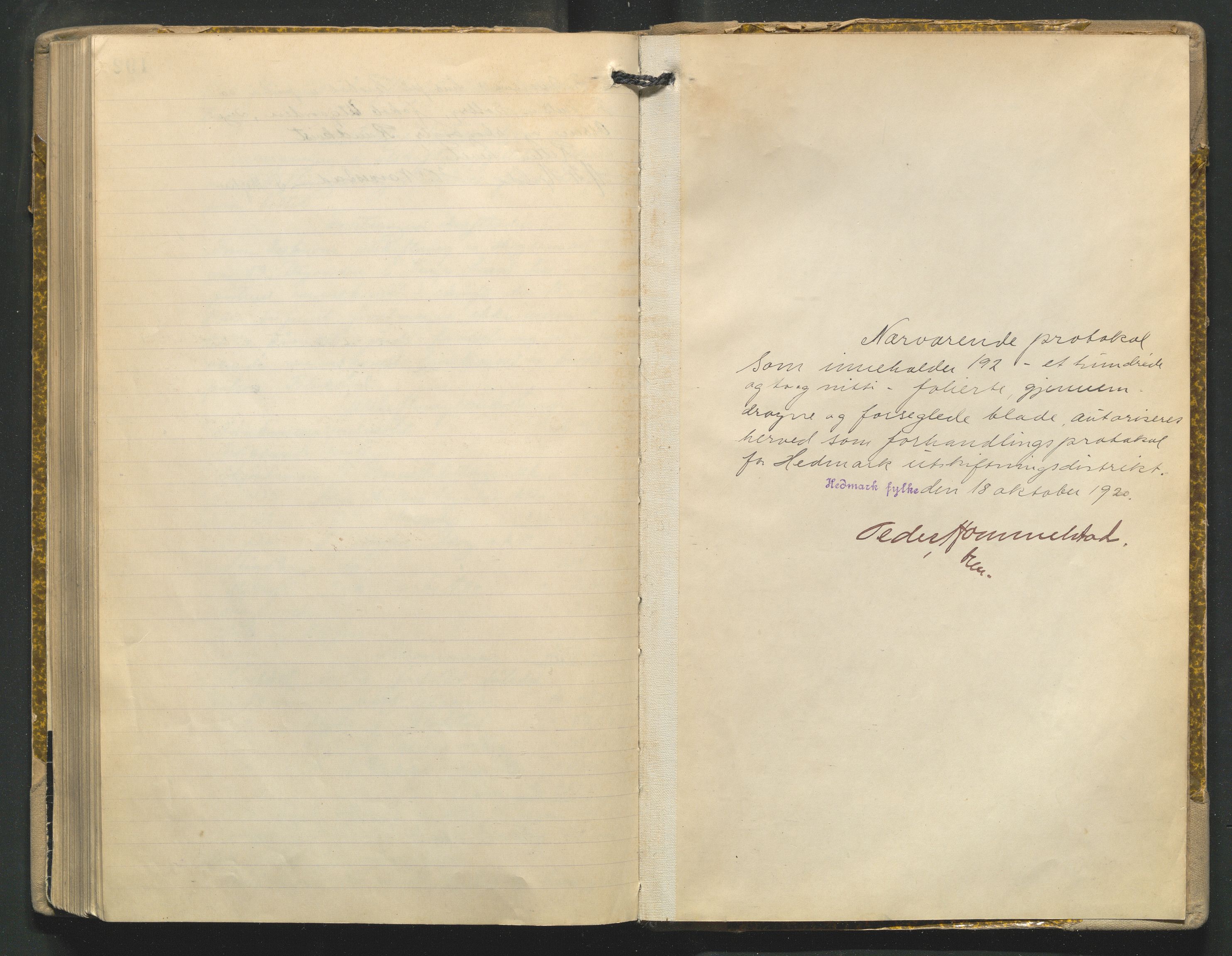 Hedmark og Østerdal jordskifterett, AV/SAH-JORDSKIFTEH-002/G/Ga/L0005/0002: Rettsbøker / Rettsbok - P, 1920-1923, s. 193