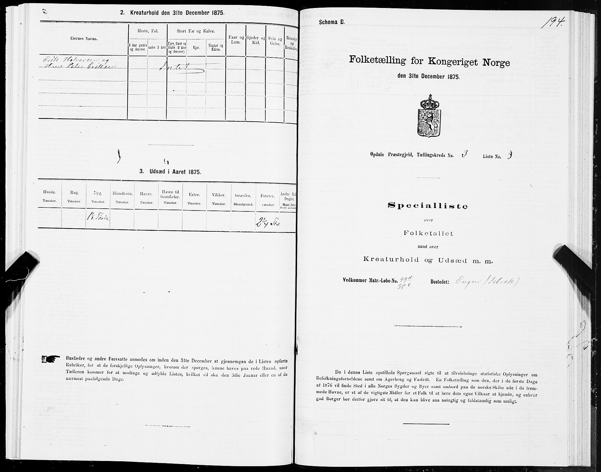 SAT, Folketelling 1875 for 1634P Oppdal prestegjeld, 1875, s. 2194