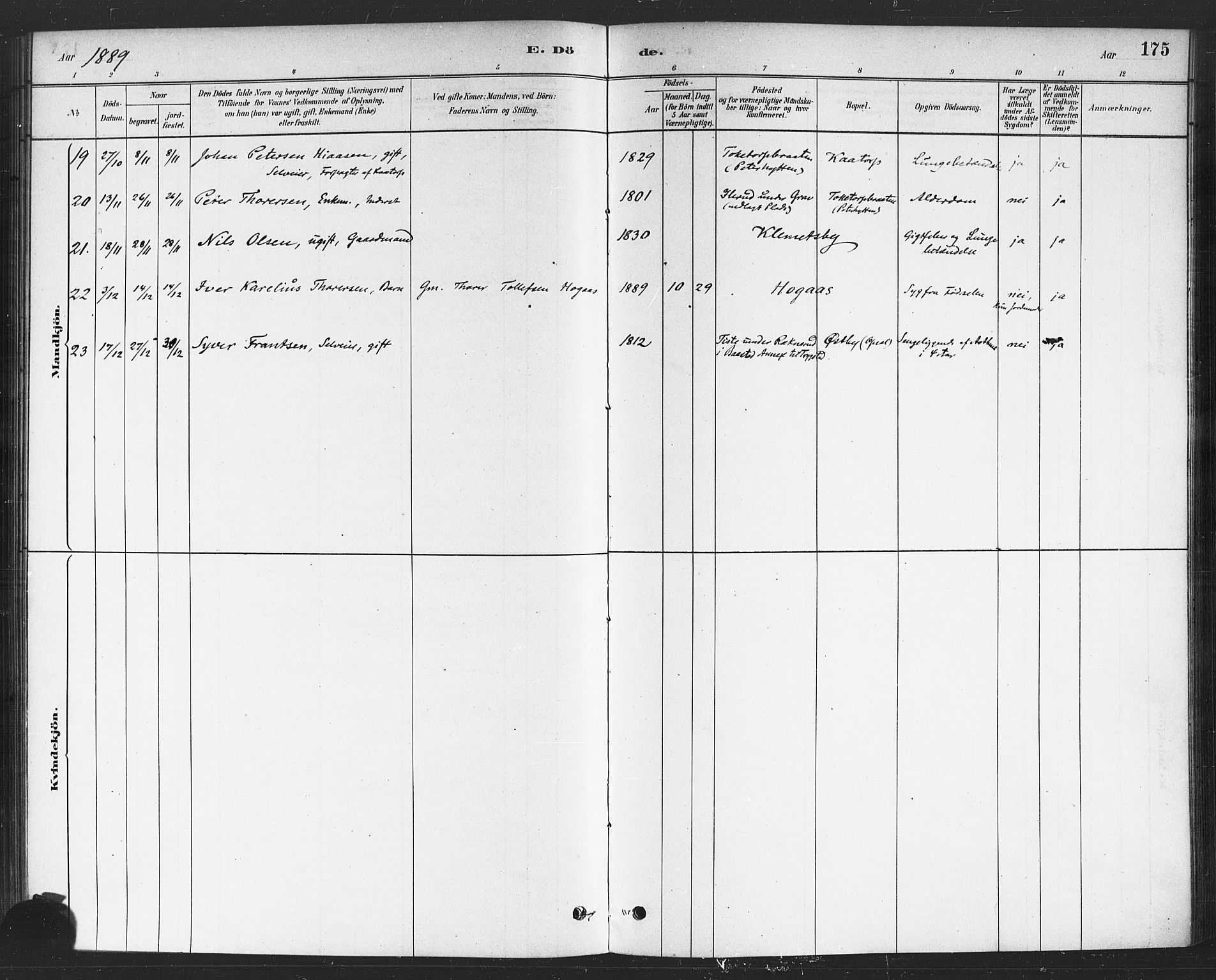 Rødenes prestekontor Kirkebøker, AV/SAO-A-2005/F/Fa/L0009: Ministerialbok nr. I 9, 1880-1889, s. 175