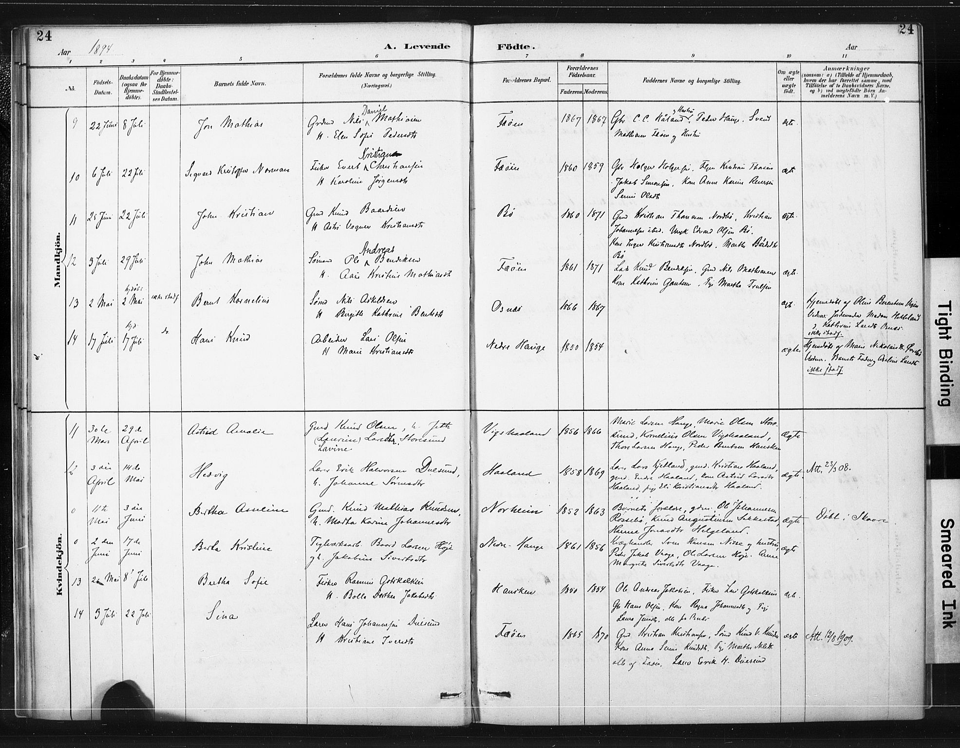 Torvastad sokneprestkontor, AV/SAST-A -101857/H/Ha/Haa/L0015: Ministerialbok nr. A 14, 1888-1899, s. 24