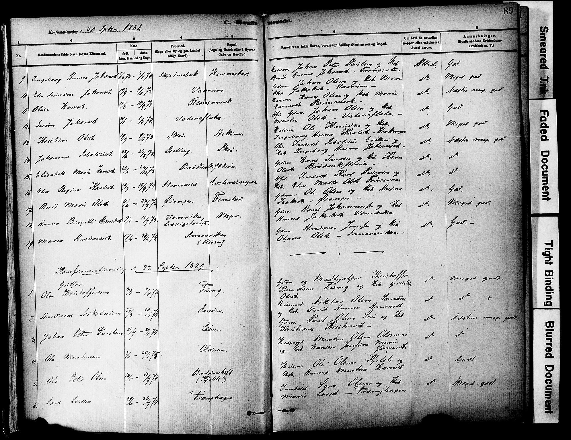 Ministerialprotokoller, klokkerbøker og fødselsregistre - Sør-Trøndelag, AV/SAT-A-1456/646/L0615: Ministerialbok nr. 646A13, 1885-1900, s. 89