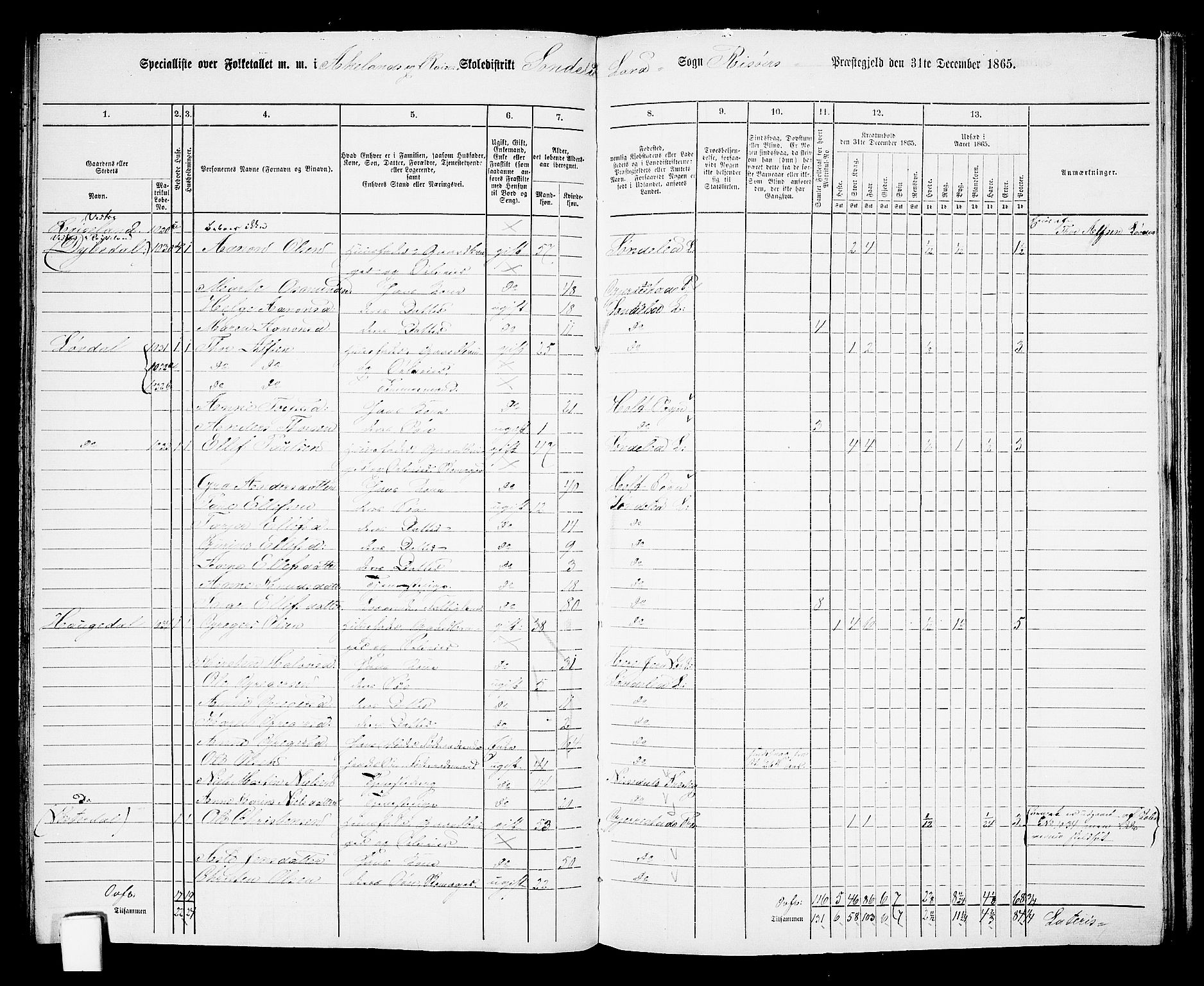 RA, Folketelling 1865 for 0913L Risør prestegjeld, Søndeled sokn, 1865, s. 72