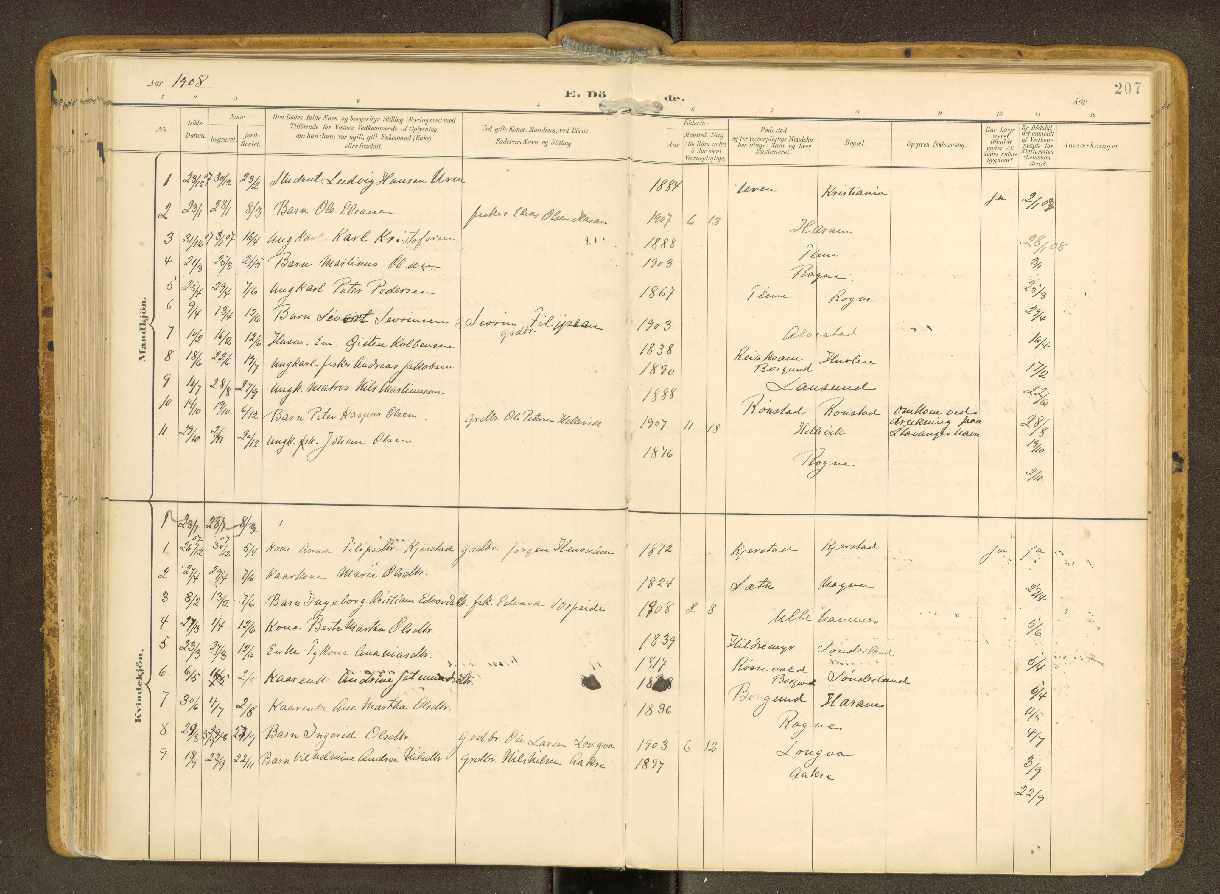 Ministerialprotokoller, klokkerbøker og fødselsregistre - Møre og Romsdal, AV/SAT-A-1454/536/L0517: Ministerialbok nr. 536A--, 1897-1917, s. 207