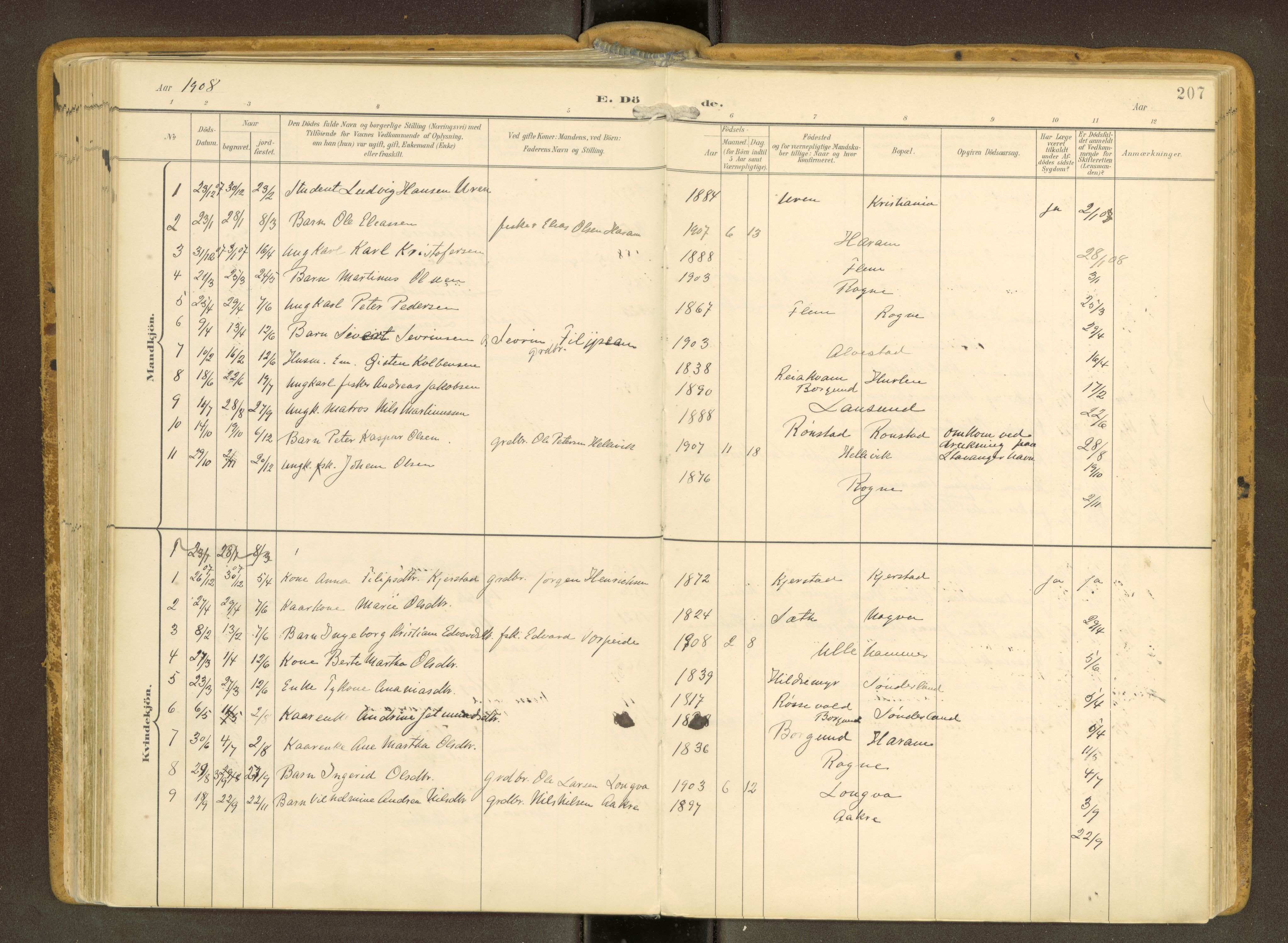 Ministerialprotokoller, klokkerbøker og fødselsregistre - Møre og Romsdal, SAT/A-1454/536/L0517: Ministerialbok nr. 536A--, 1897-1917, s. 207