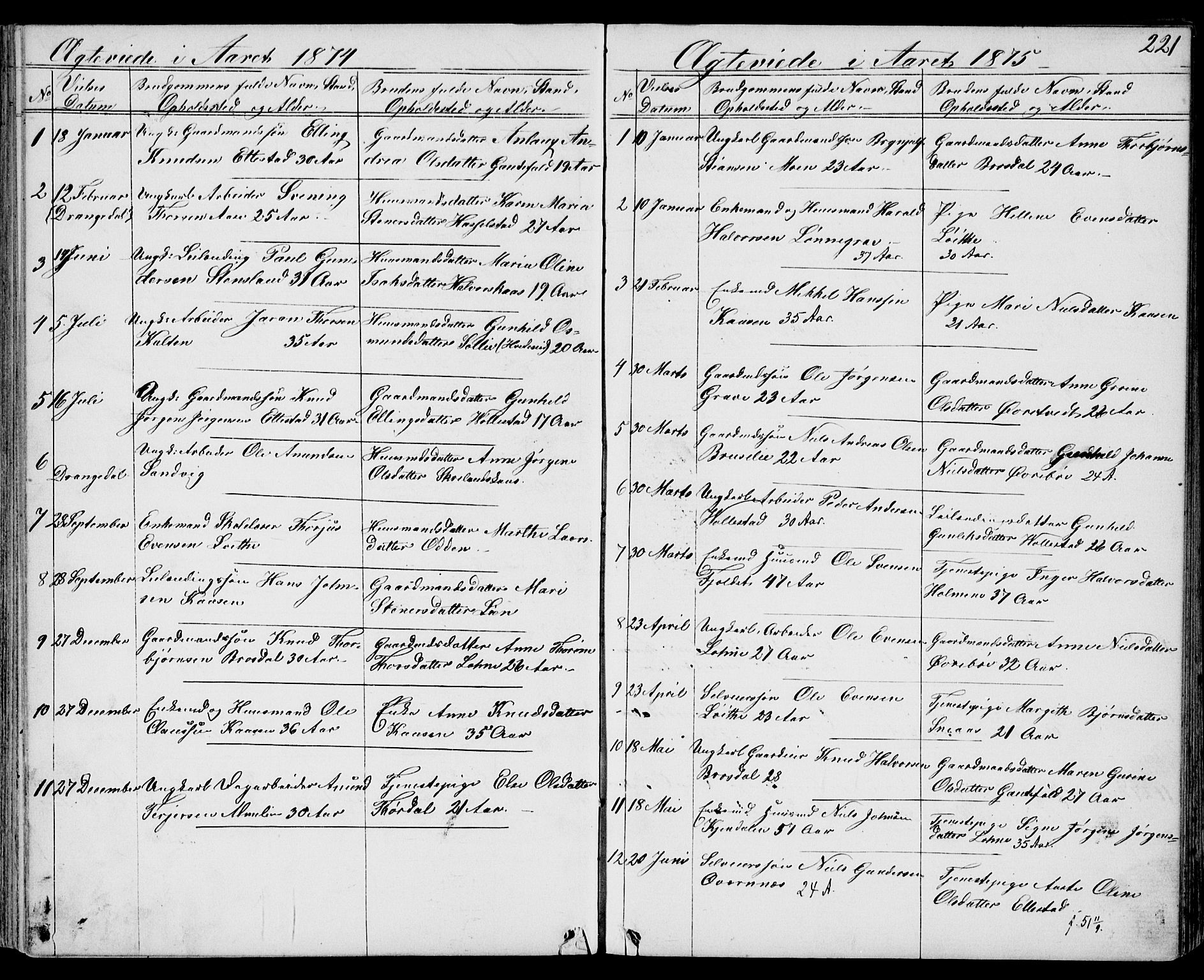 Drangedal kirkebøker, AV/SAKO-A-258/G/Gb/L0001: Klokkerbok nr. II 1, 1856-1894, s. 221