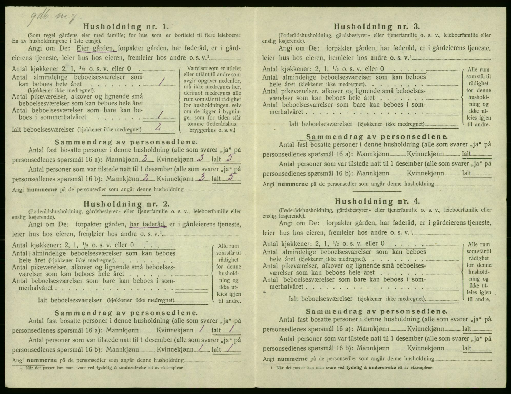 SAB, Folketelling 1920 for 1229 Røldal herred, 1920, s. 324