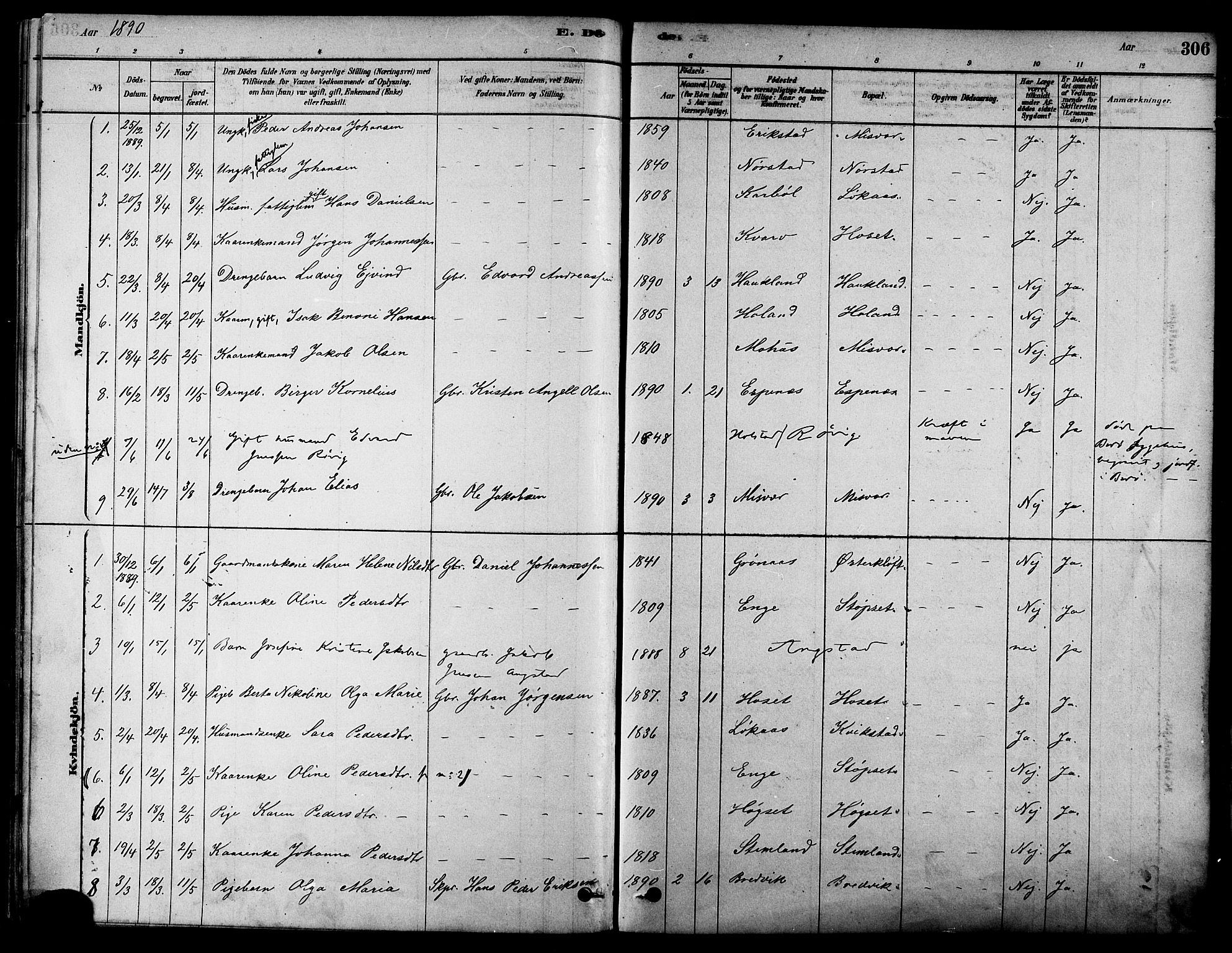Ministerialprotokoller, klokkerbøker og fødselsregistre - Nordland, AV/SAT-A-1459/852/L0740: Ministerialbok nr. 852A10, 1878-1894, s. 306