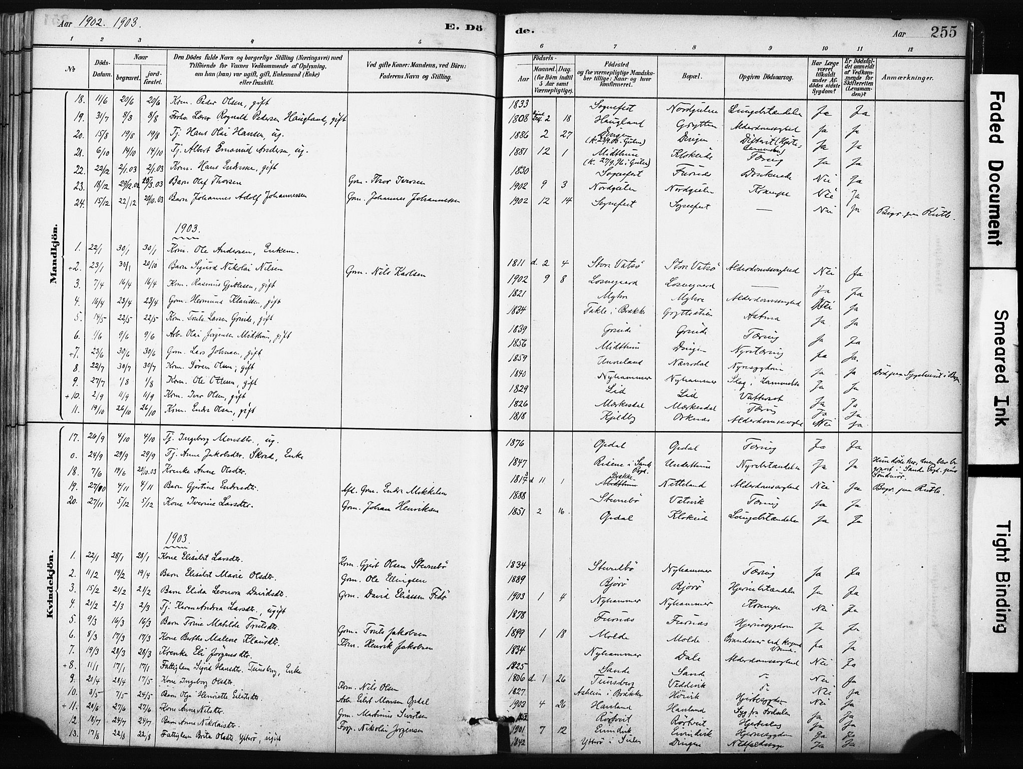 Gulen sokneprestembete, AV/SAB-A-80201/H/Haa/Haab/L0001: Ministerialbok nr. B 1, 1881-1905, s. 255