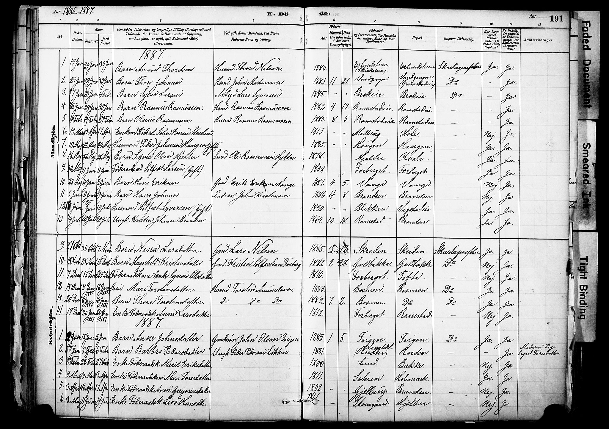 Skjåk prestekontor, AV/SAH-PREST-072/H/Ha/Haa/L0003: Ministerialbok nr. 3, 1880-1907, s. 191