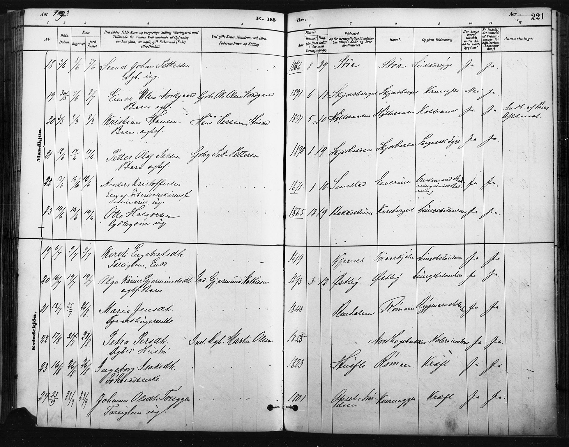 Trysil prestekontor, AV/SAH-PREST-046/H/Ha/Haa/L0009: Ministerialbok nr. 9, 1881-1897, s. 221