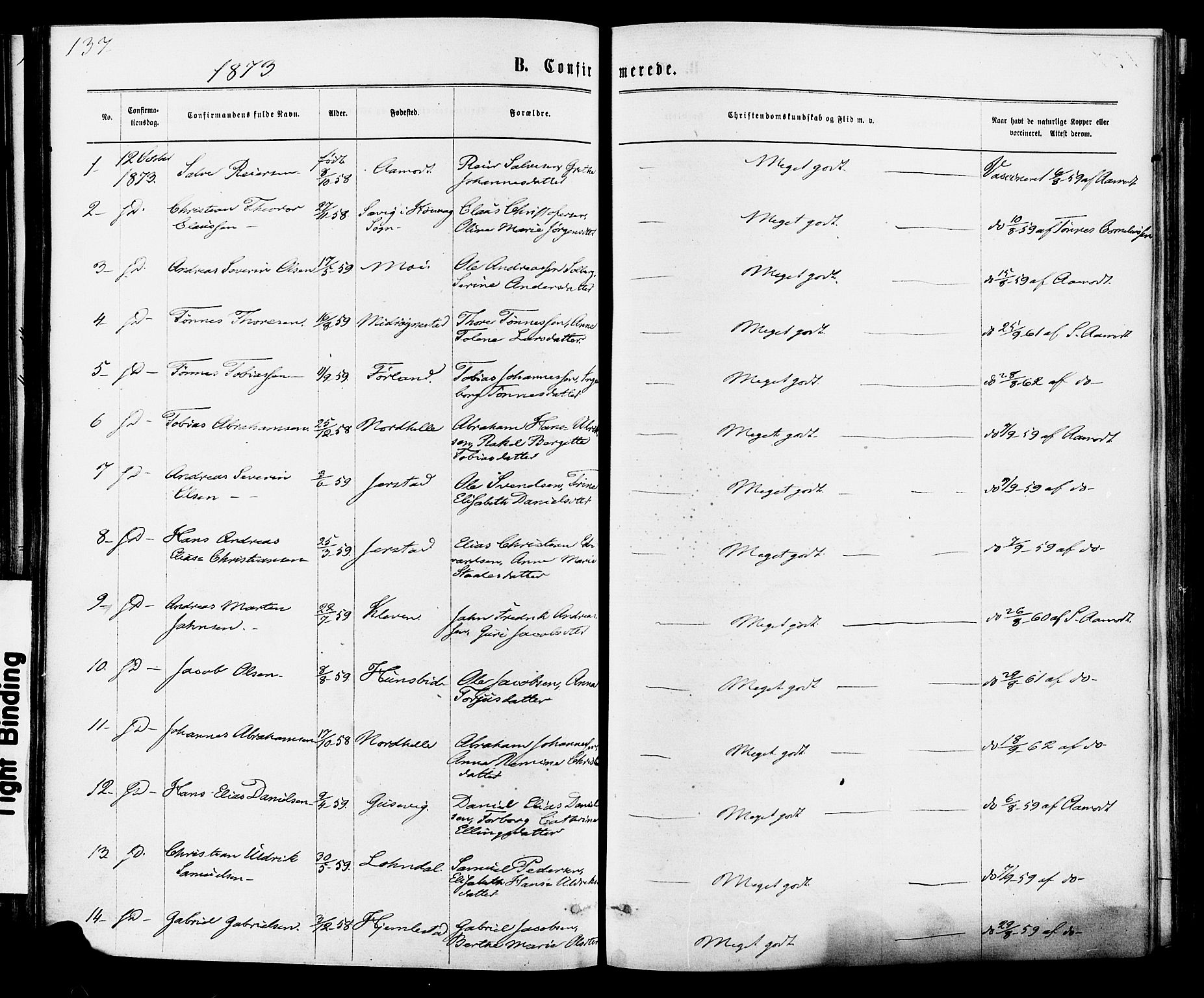 Kvinesdal sokneprestkontor, SAK/1111-0026/F/Fa/Fab/L0007: Ministerialbok nr. A 7, 1870-1885, s. 137