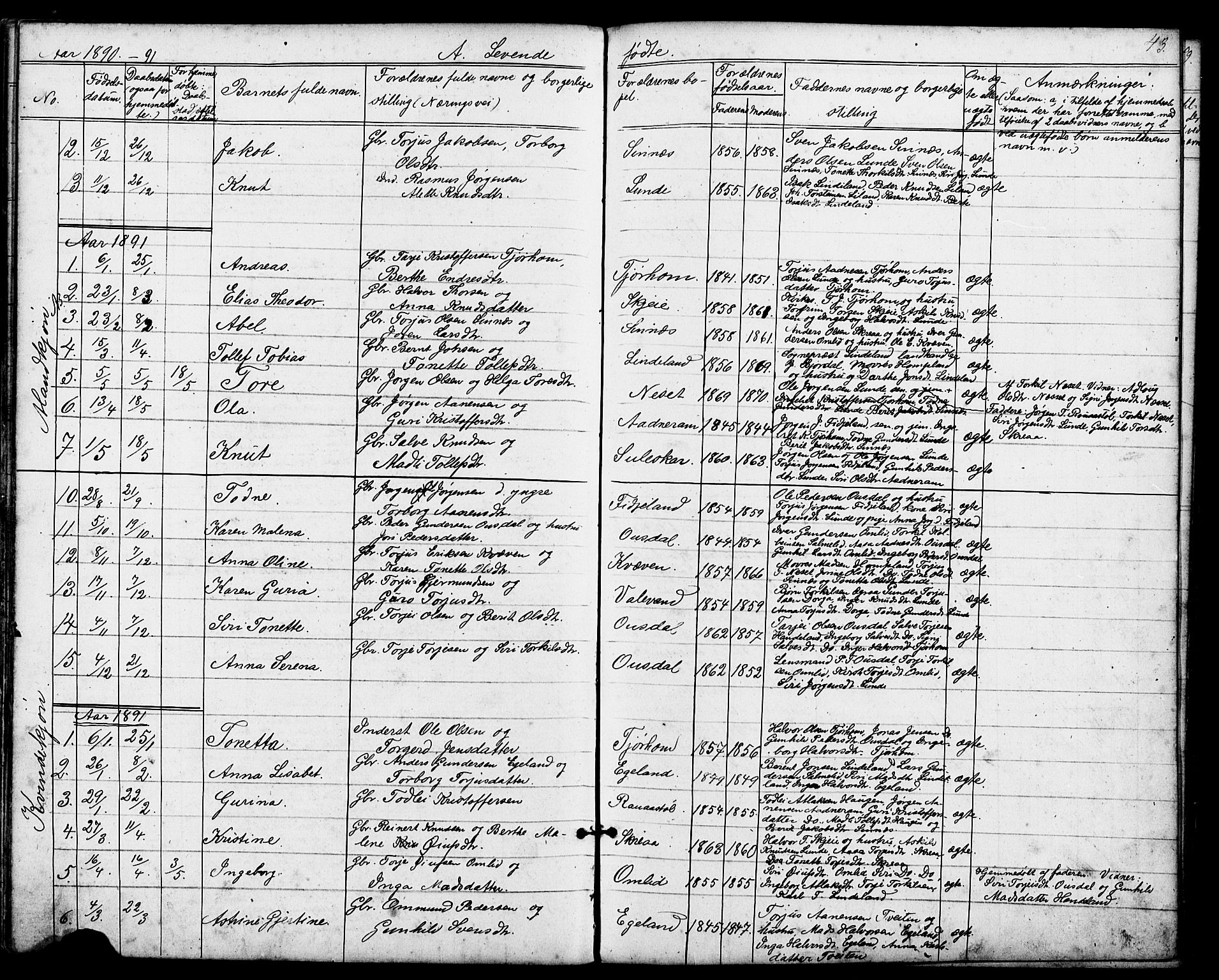 Sirdal sokneprestkontor, AV/SAK-1111-0036/F/Fb/Fba/L0001: Klokkerbok nr. B 1, 1872-1905, s. 43