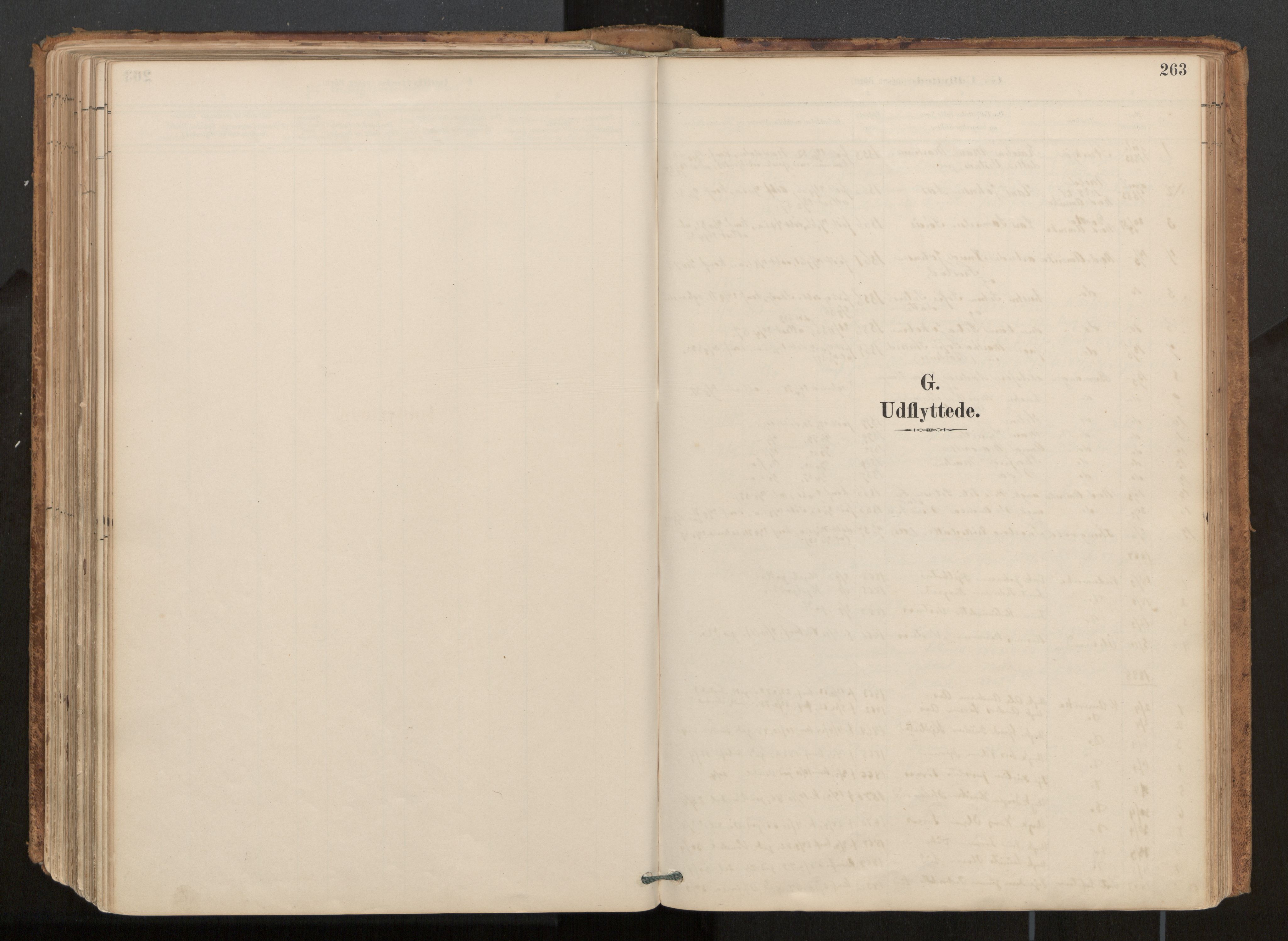 Ministerialprotokoller, klokkerbøker og fødselsregistre - Møre og Romsdal, AV/SAT-A-1454/539/L0531: Ministerialbok nr. 539A04, 1887-1913, s. 263