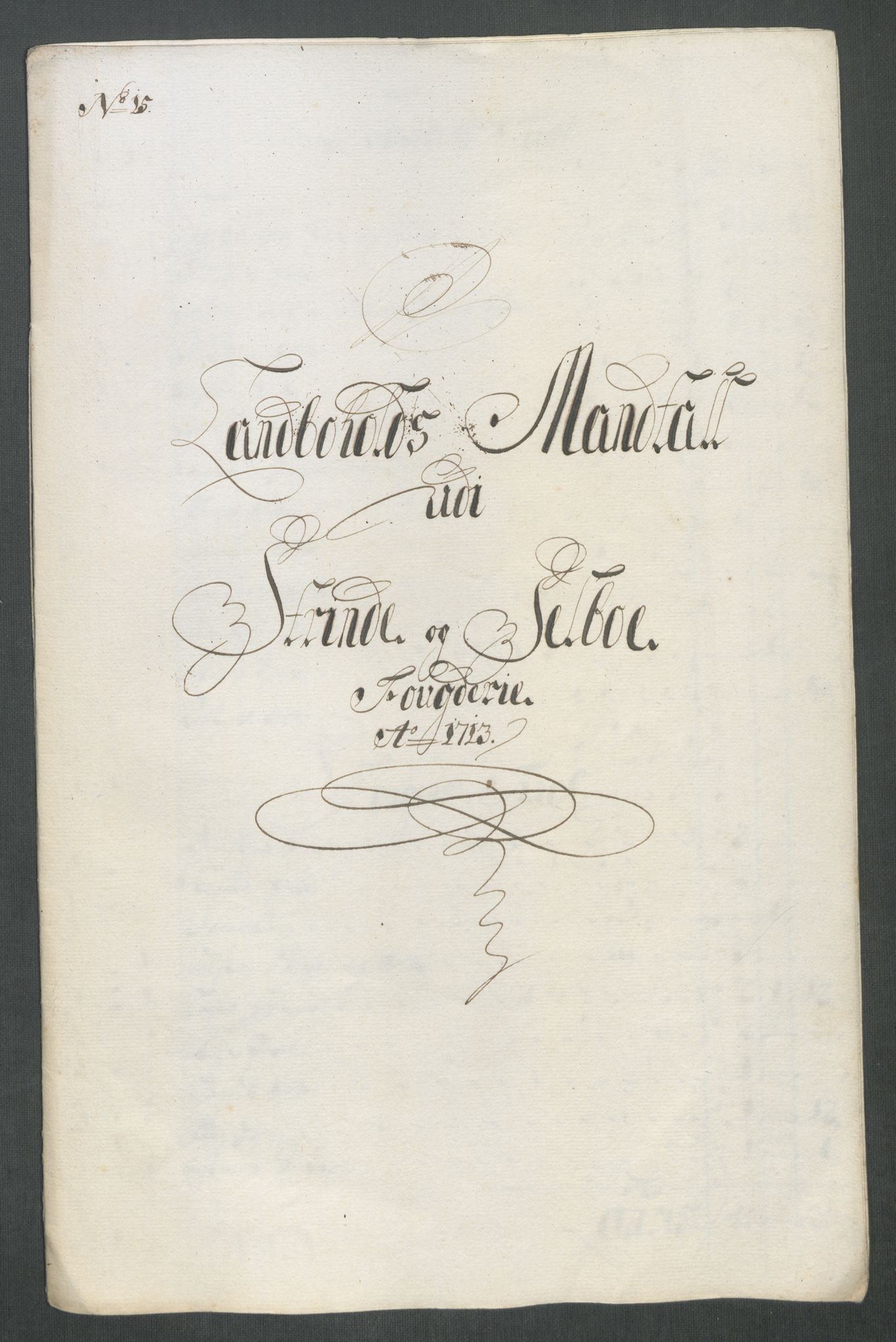 Rentekammeret inntil 1814, Reviderte regnskaper, Fogderegnskap, AV/RA-EA-4092/R61/L4113: Fogderegnskap Strinda og Selbu, 1712-1713, s. 434
