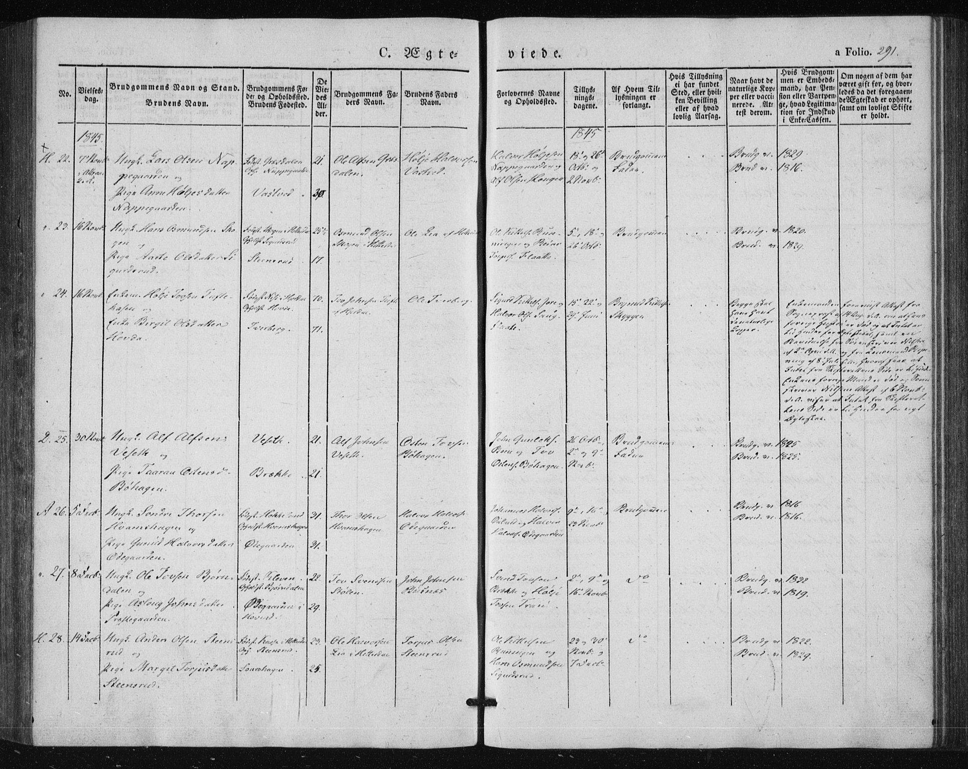 Tinn kirkebøker, AV/SAKO-A-308/F/Fa/L0005: Ministerialbok nr. I 5, 1844-1856, s. 291