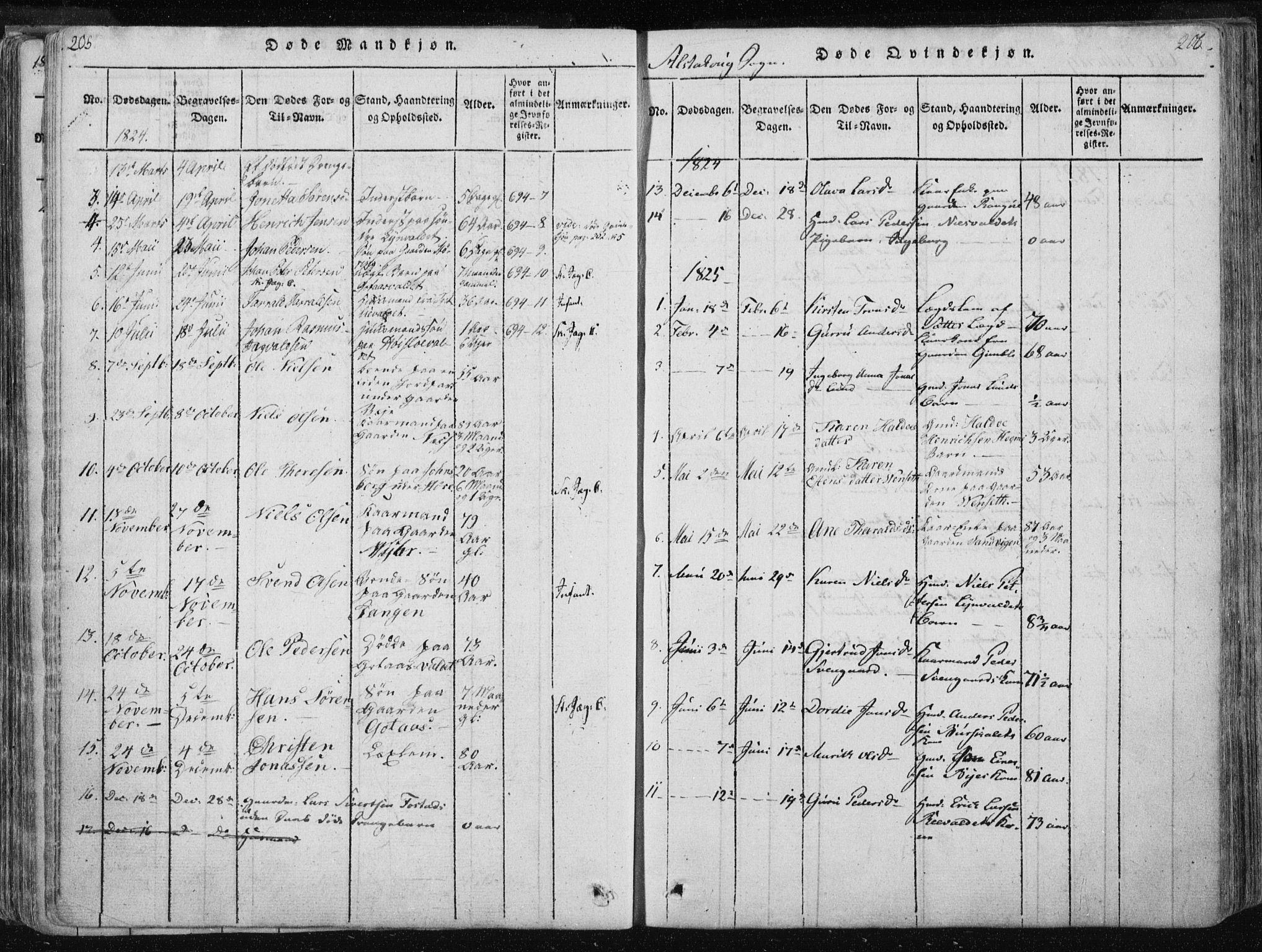 Ministerialprotokoller, klokkerbøker og fødselsregistre - Nord-Trøndelag, AV/SAT-A-1458/717/L0148: Ministerialbok nr. 717A04 /1, 1816-1825, s. 205-206