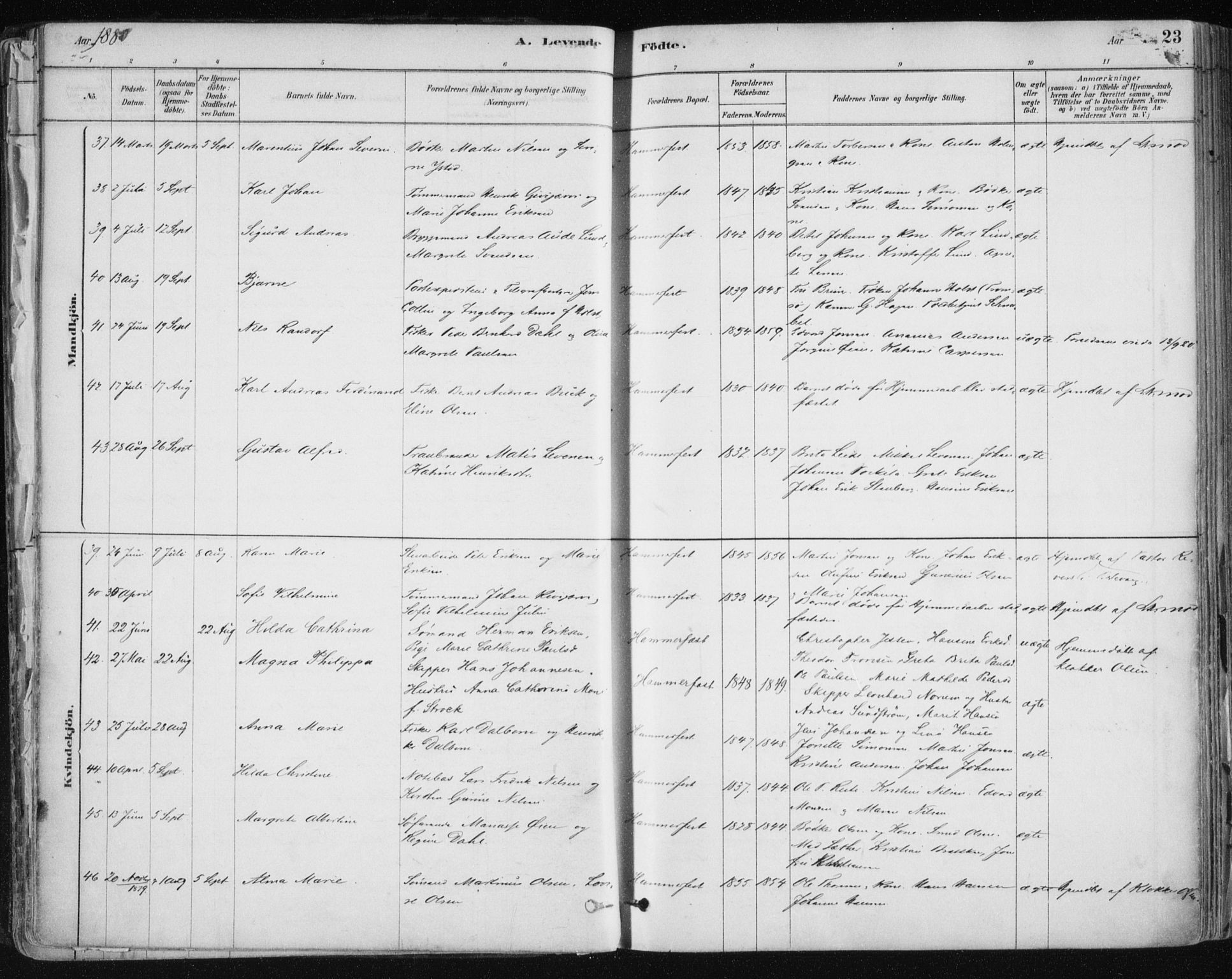 Hammerfest sokneprestkontor, SATØ/S-1347/H/Ha/L0008.kirke: Ministerialbok nr. 8, 1878-1889, s. 23