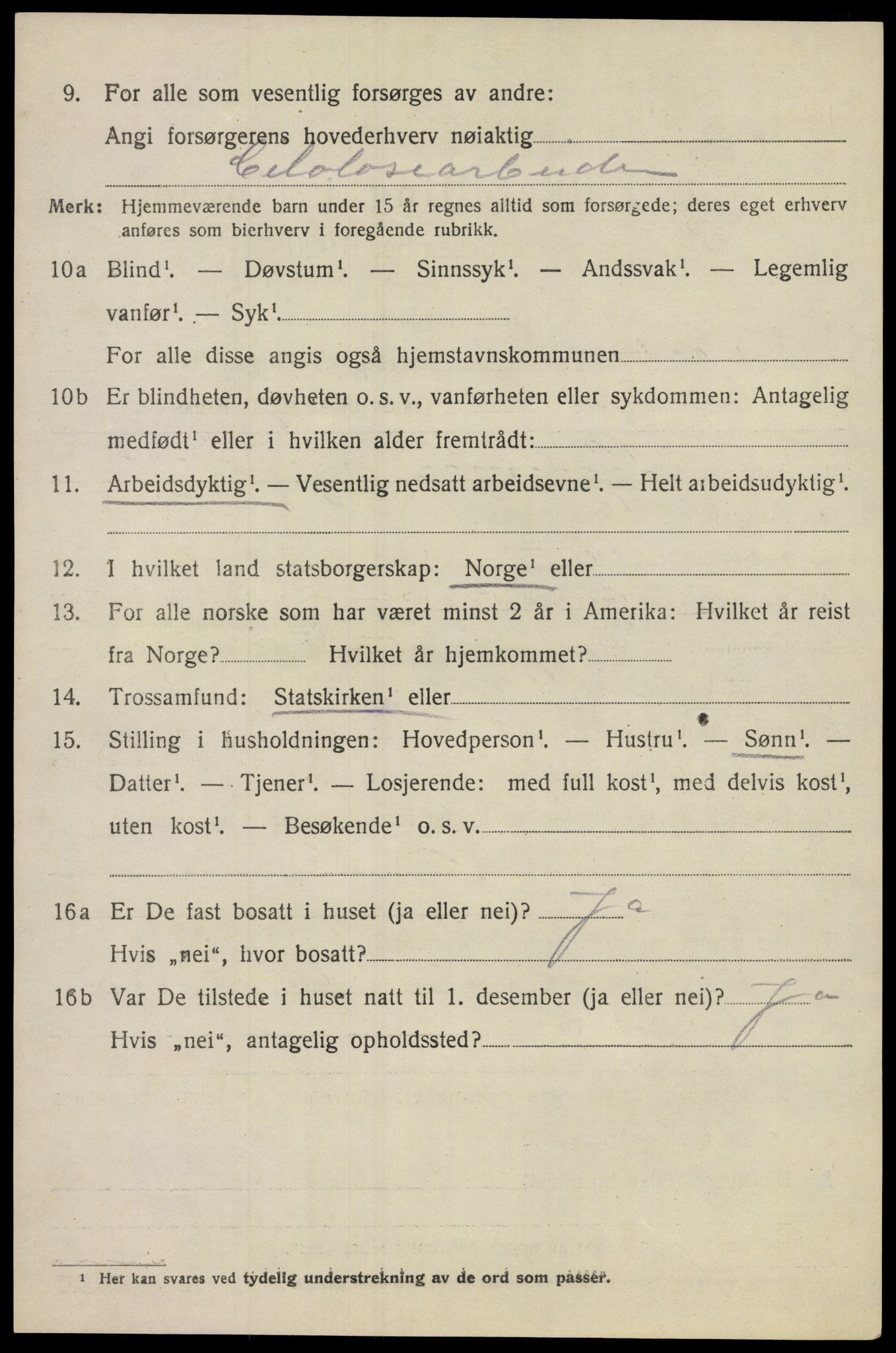 SAO, Folketelling 1920 for 0232 Lillestrøm herred, 1920, s. 12577