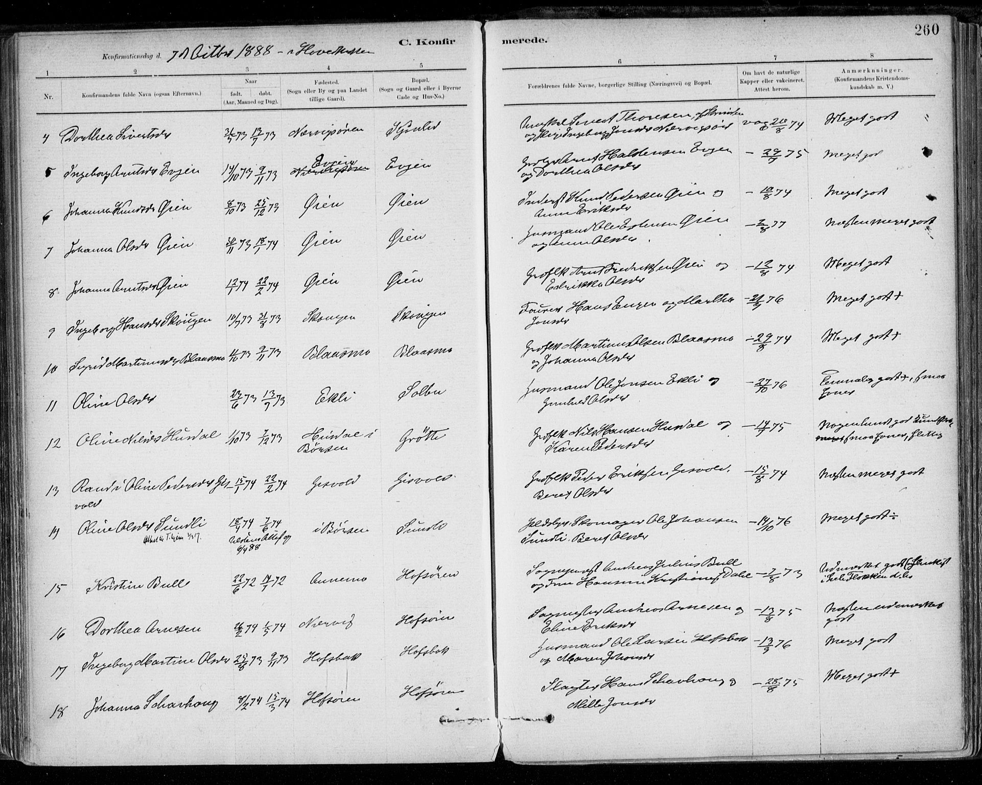 Ministerialprotokoller, klokkerbøker og fødselsregistre - Sør-Trøndelag, SAT/A-1456/668/L0809: Ministerialbok nr. 668A09, 1881-1895, s. 260