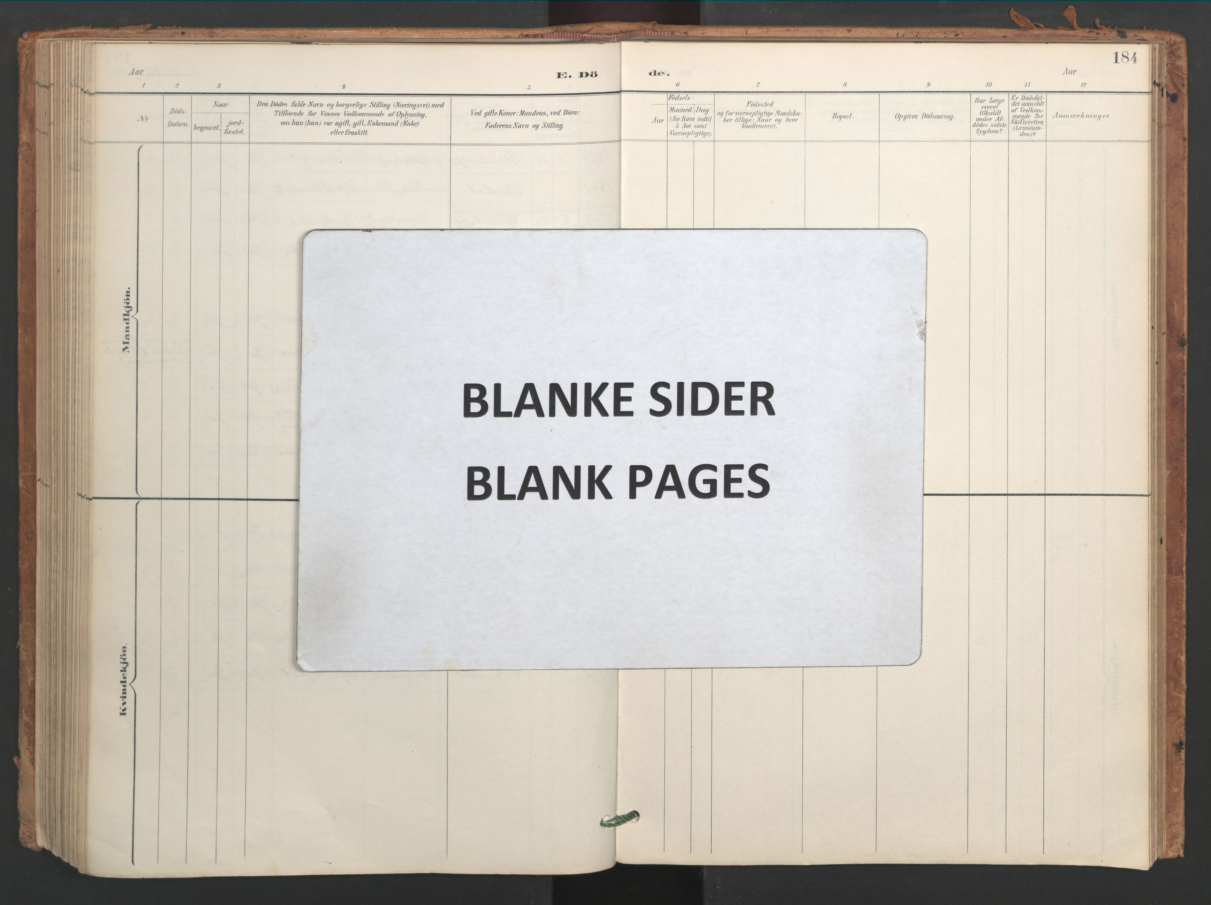 Ministerialprotokoller, klokkerbøker og fødselsregistre - Sør-Trøndelag, AV/SAT-A-1456/656/L0693: Ministerialbok nr. 656A02, 1894-1913, s. 184