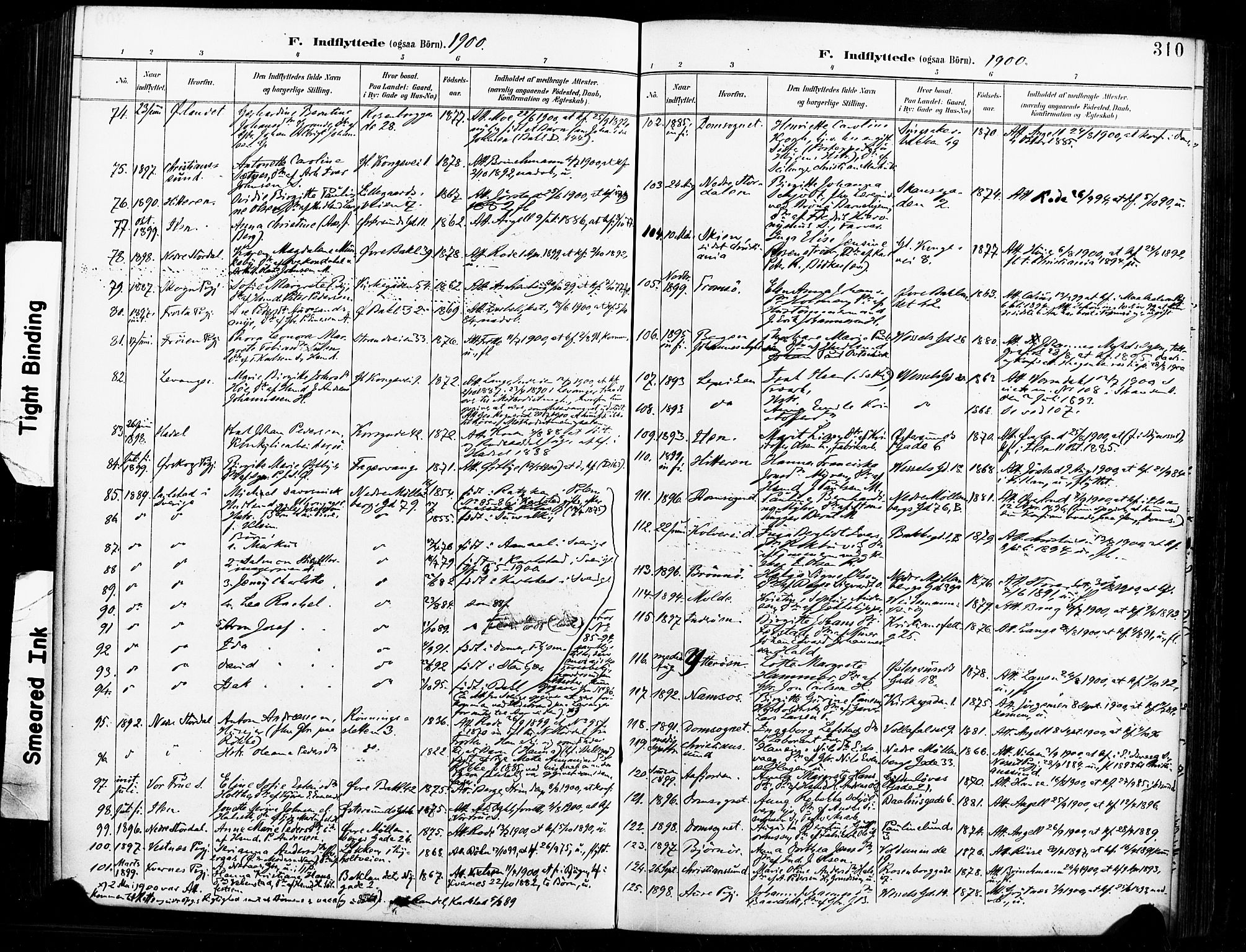 Ministerialprotokoller, klokkerbøker og fødselsregistre - Sør-Trøndelag, AV/SAT-A-1456/604/L0198: Ministerialbok nr. 604A19, 1893-1900, s. 310