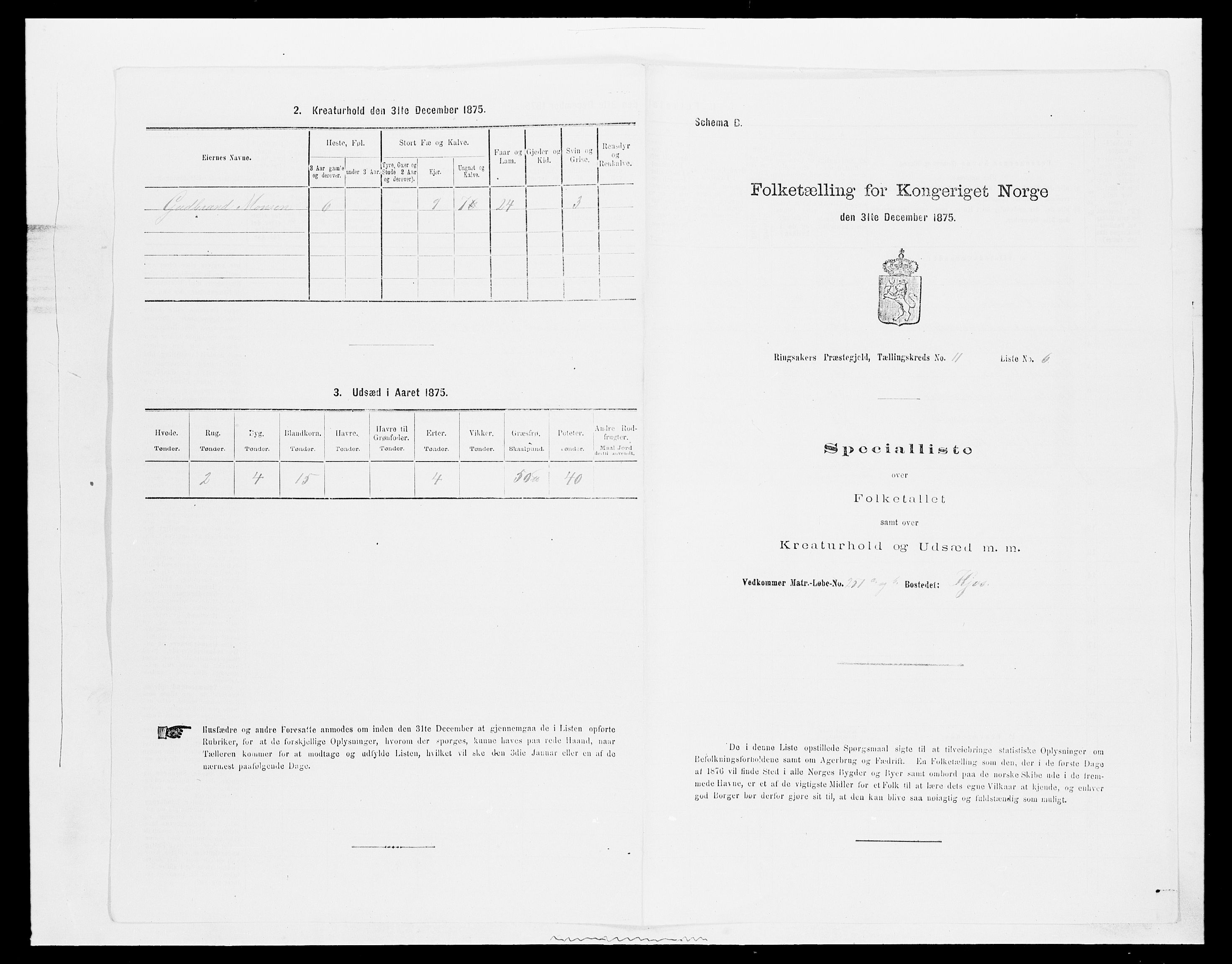 SAH, Folketelling 1875 for 0412P Ringsaker prestegjeld, 1875, s. 2173