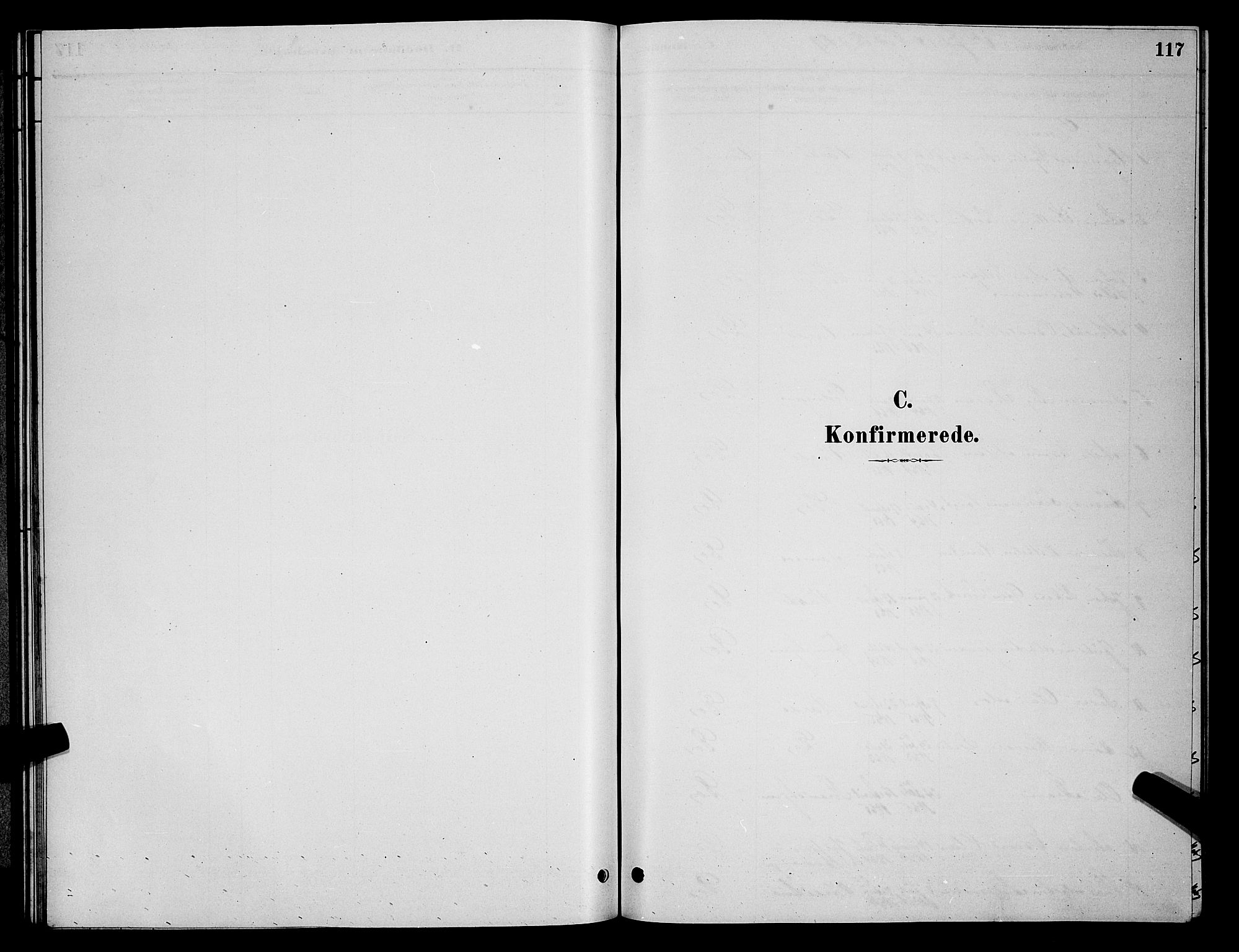 Vardø sokneprestkontor, SATØ/S-1332/H/Hb/L0004klokker: Klokkerbok nr. 4, 1879-1887, s. 117