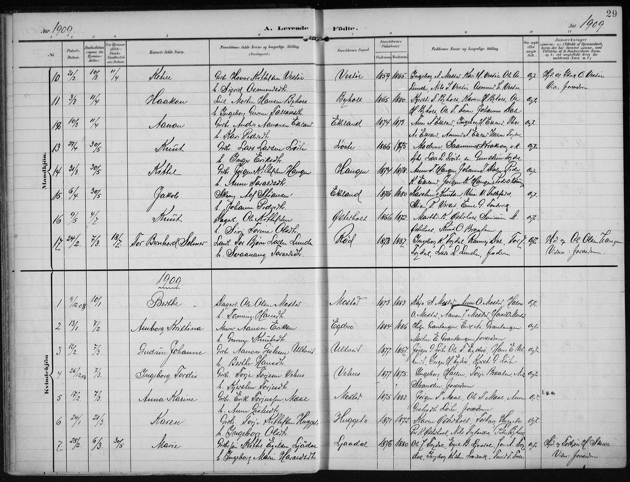 Gjerstad sokneprestkontor, AV/SAK-1111-0014/F/Fa/Faa/L0011: Ministerialbok nr. A 11, 1903-1914, s. 29