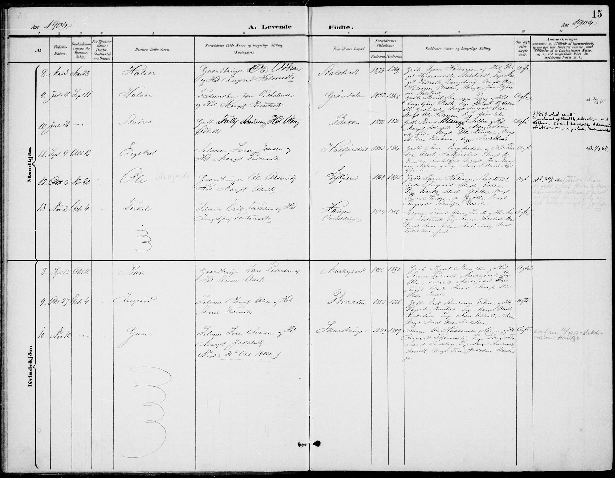 Gol kirkebøker, AV/SAKO-A-226/F/Fb/L0002: Ministerialbok nr. II 2, 1900-1921, s. 15