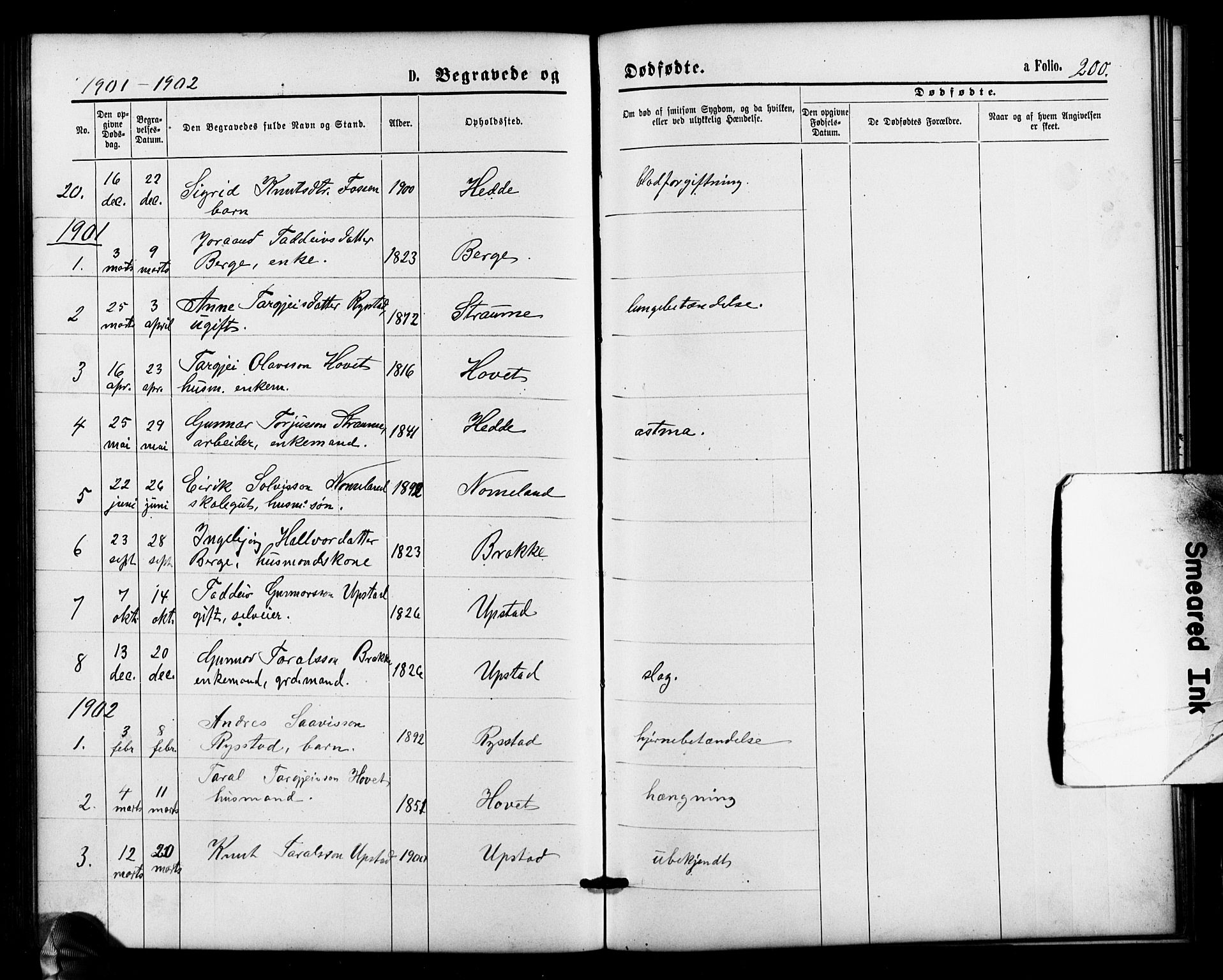 Valle sokneprestkontor, AV/SAK-1111-0044/F/Fb/Fbb/L0002: Klokkerbok nr. B 2, 1875-1921, s. 200
