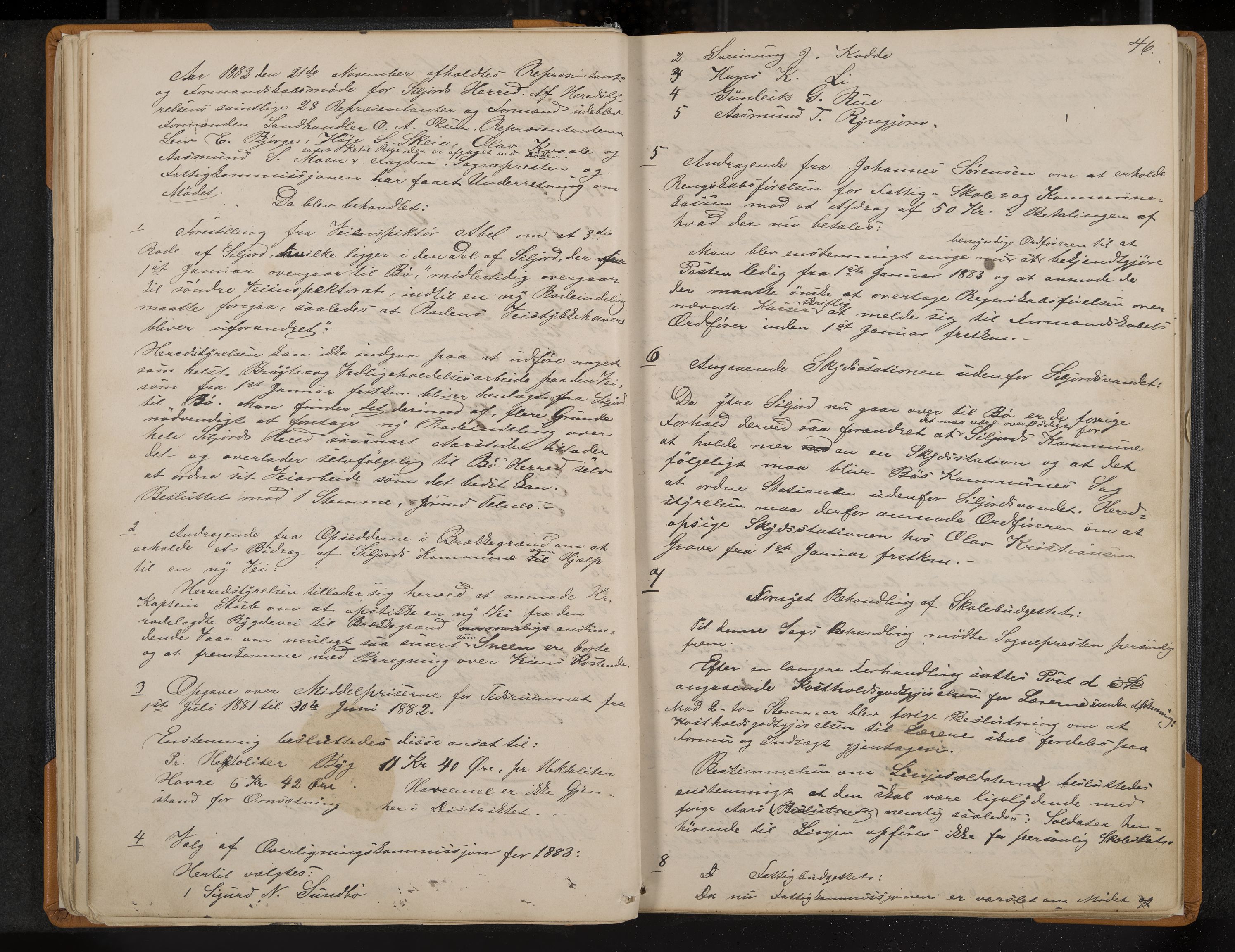 Seljord formannskap og sentraladministrasjon, IKAK/0828021/A/Aa/L0002: Møtebok med register, 1879-1890, s. 46