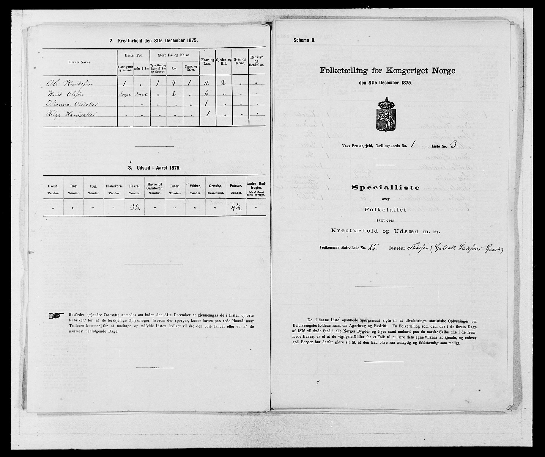 SAB, Folketelling 1875 for 1235P Voss prestegjeld, 1875, s. 1710