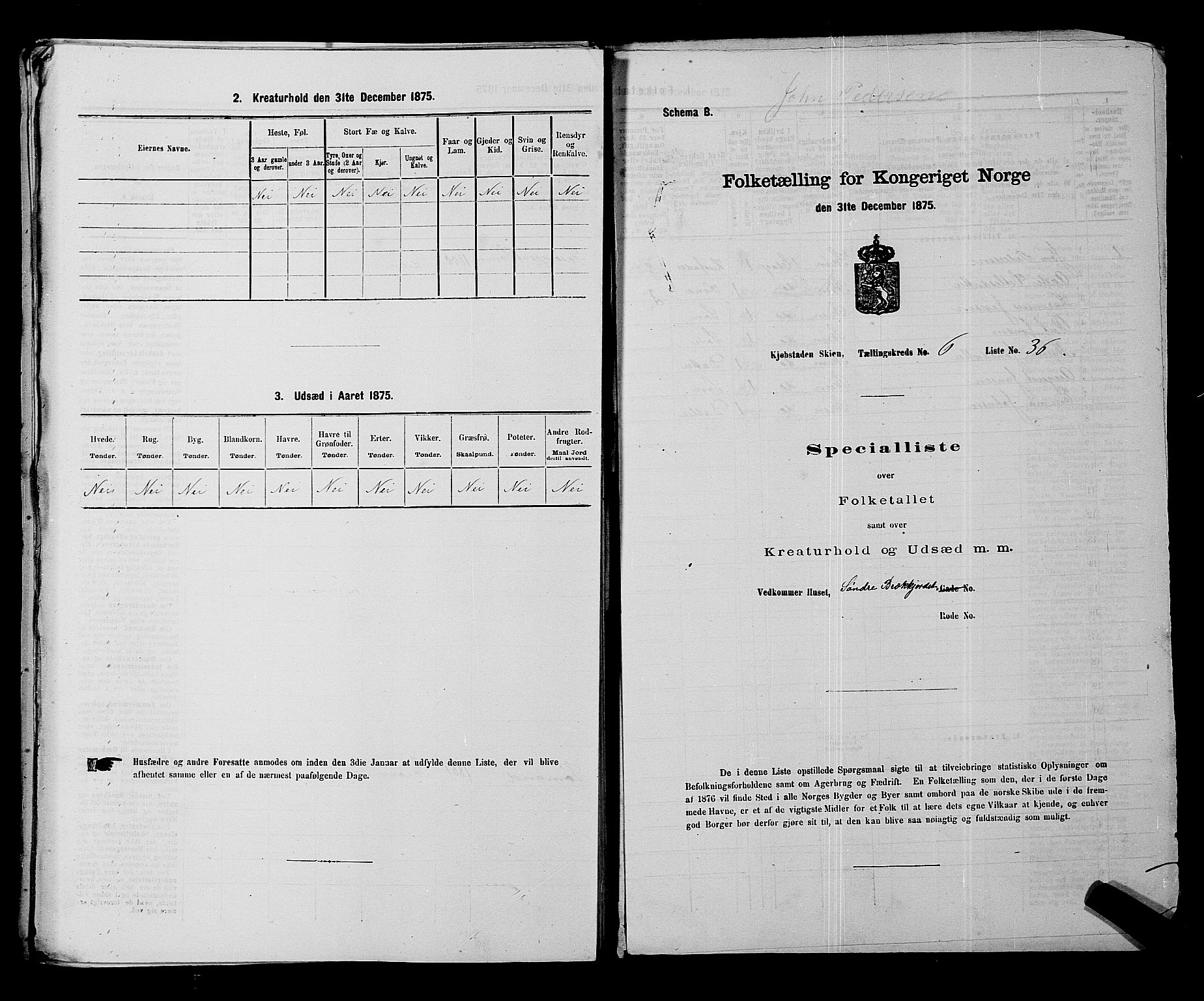 SAKO, Folketelling 1875 for 0806P Skien prestegjeld, 1875, s. 1035