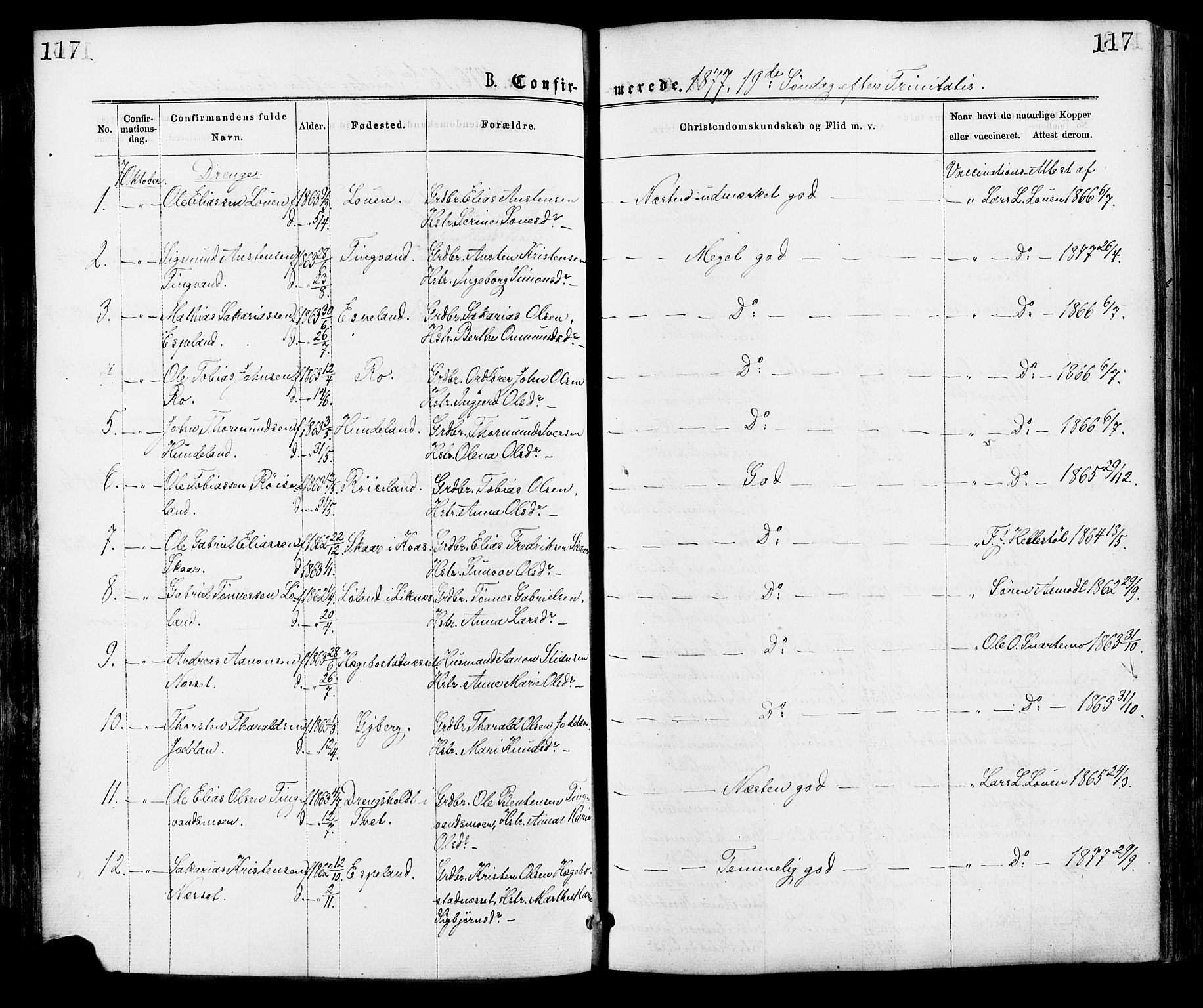 Hægebostad sokneprestkontor, SAK/1111-0024/F/Fa/Faa/L0005: Ministerialbok nr. A 5, 1864-1886, s. 117