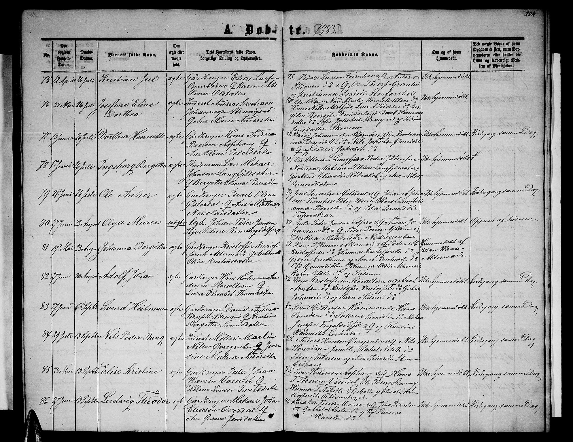 Ministerialprotokoller, klokkerbøker og fødselsregistre - Nordland, AV/SAT-A-1459/827/L0415: Klokkerbok nr. 827C04, 1864-1886, s. 204