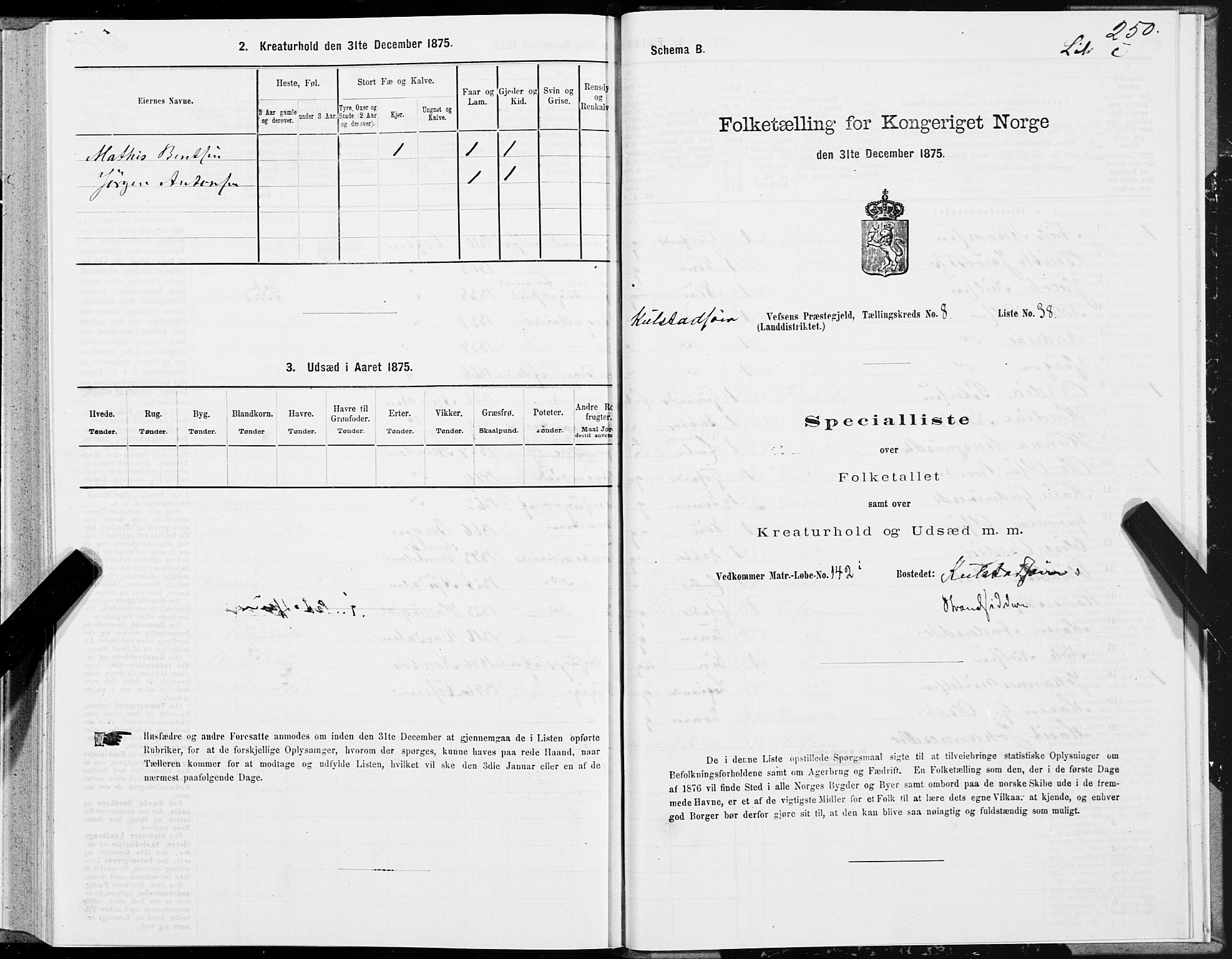 SAT, Folketelling 1875 for 1824L Vefsn prestegjeld, Vefsn sokn, 1875, s. 2250
