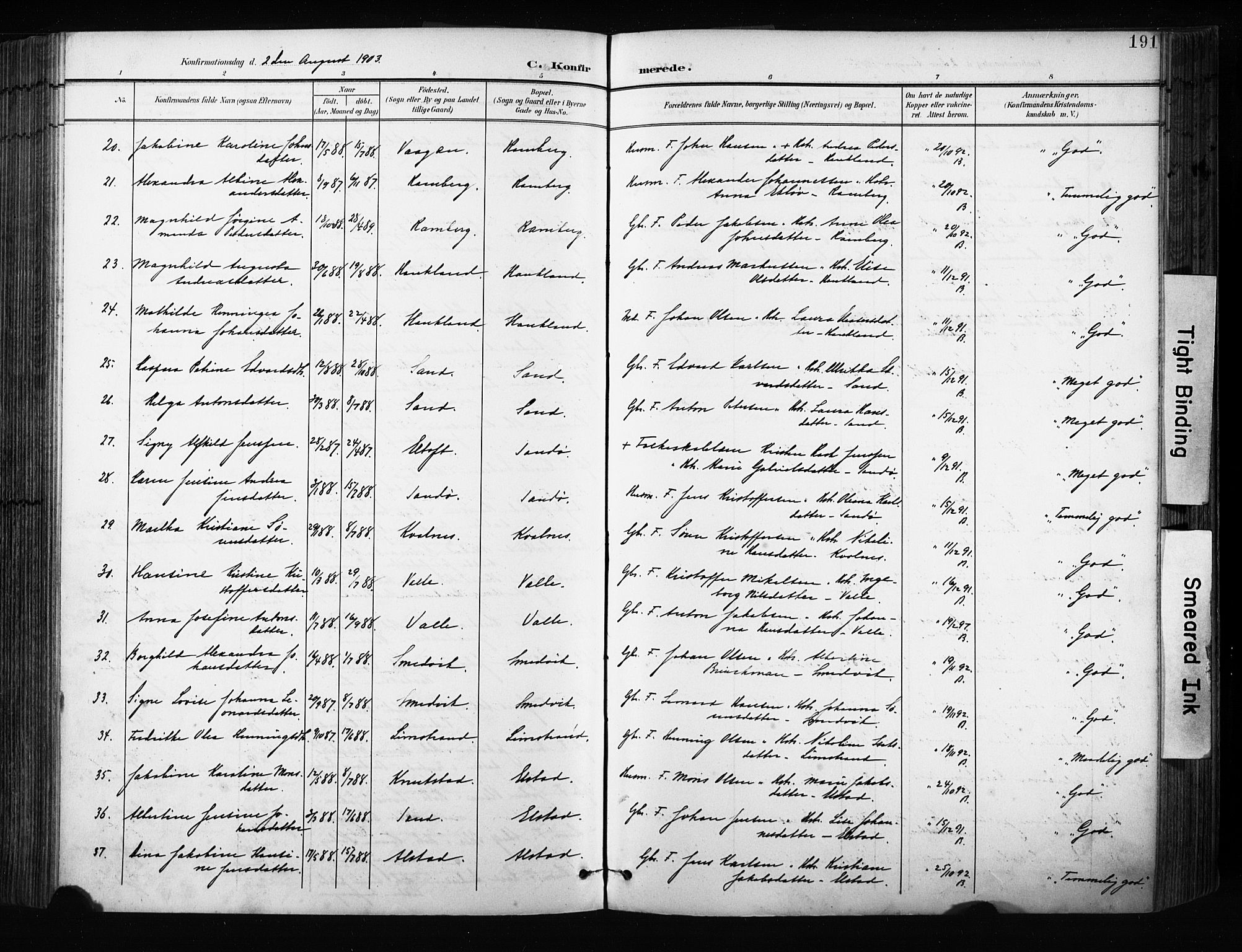 Ministerialprotokoller, klokkerbøker og fødselsregistre - Nordland, AV/SAT-A-1459/880/L1134: Ministerialbok nr. 880A08, 1899-1908, s. 191