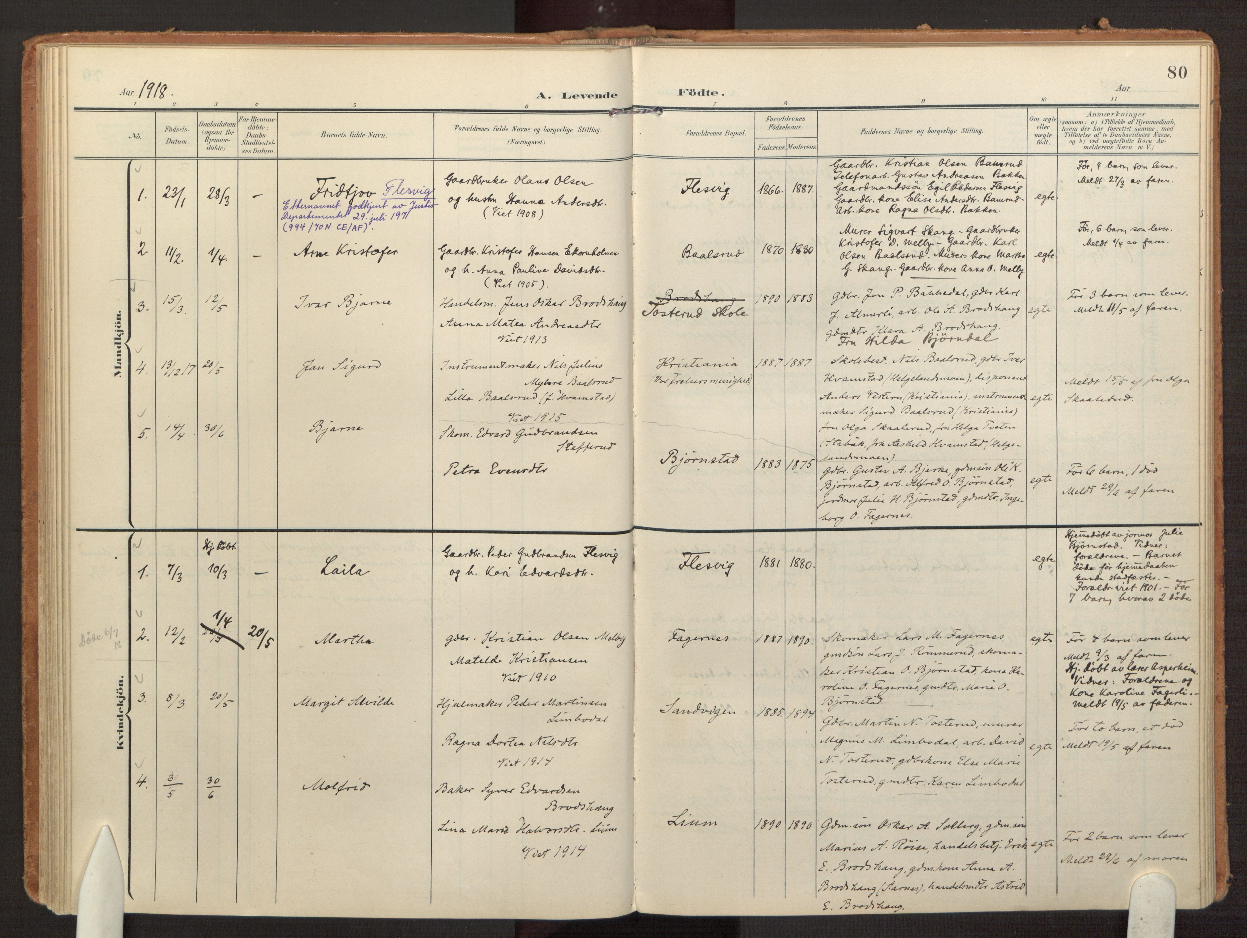 Hurdal prestekontor Kirkebøker, AV/SAO-A-10889/F/Fb/L0004: Ministerialbok nr. II 4, 1902-1924, s. 80