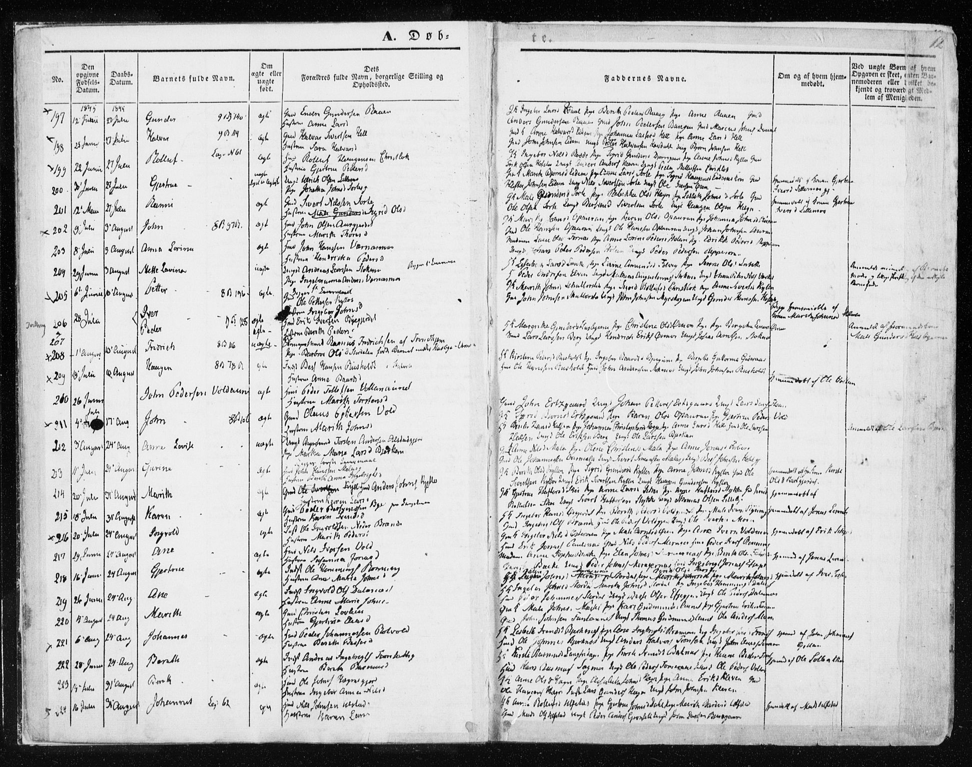 Ministerialprotokoller, klokkerbøker og fødselsregistre - Nord-Trøndelag, AV/SAT-A-1458/709/L0074: Ministerialbok nr. 709A14, 1845-1858, s. 12