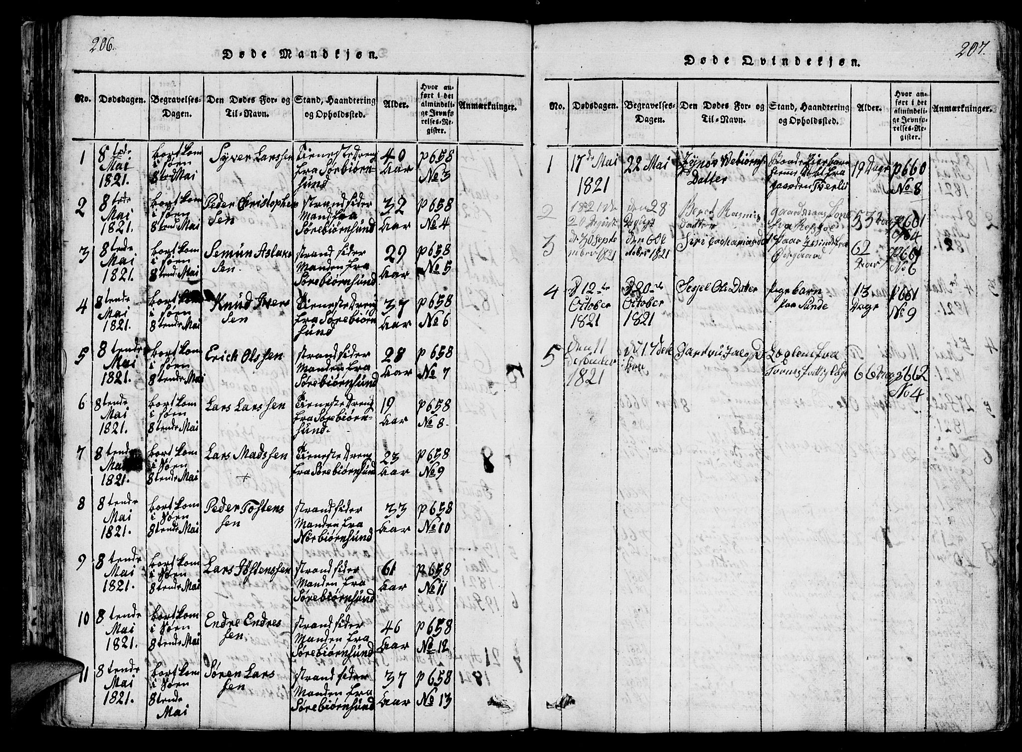 Ministerialprotokoller, klokkerbøker og fødselsregistre - Møre og Romsdal, AV/SAT-A-1454/565/L0747: Ministerialbok nr. 565A01, 1817-1844, s. 206-207