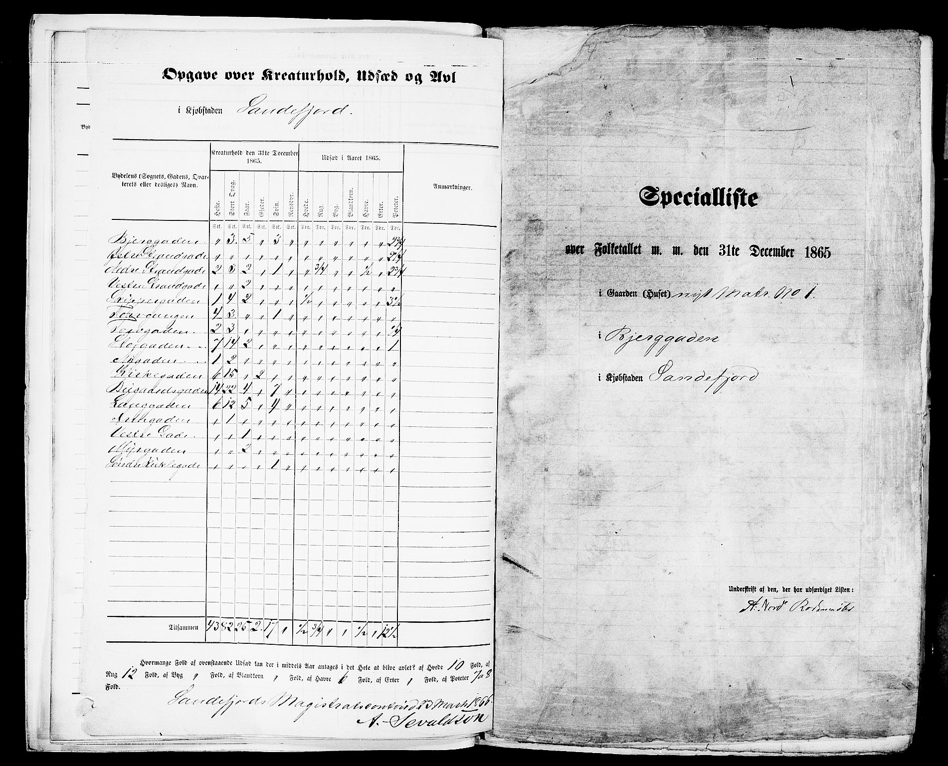 RA, Folketelling 1865 for 0706B Sandeherred prestegjeld, Sandefjord kjøpstad, 1865, s. 8