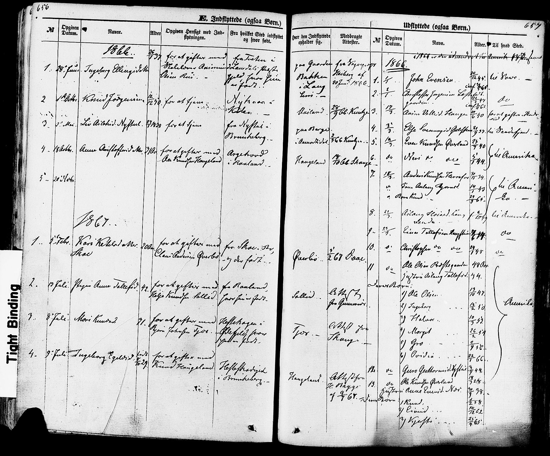 Seljord kirkebøker, AV/SAKO-A-20/F/Fa/L0013: Ministerialbok nr. I 13, 1866-1876, s. 656-657