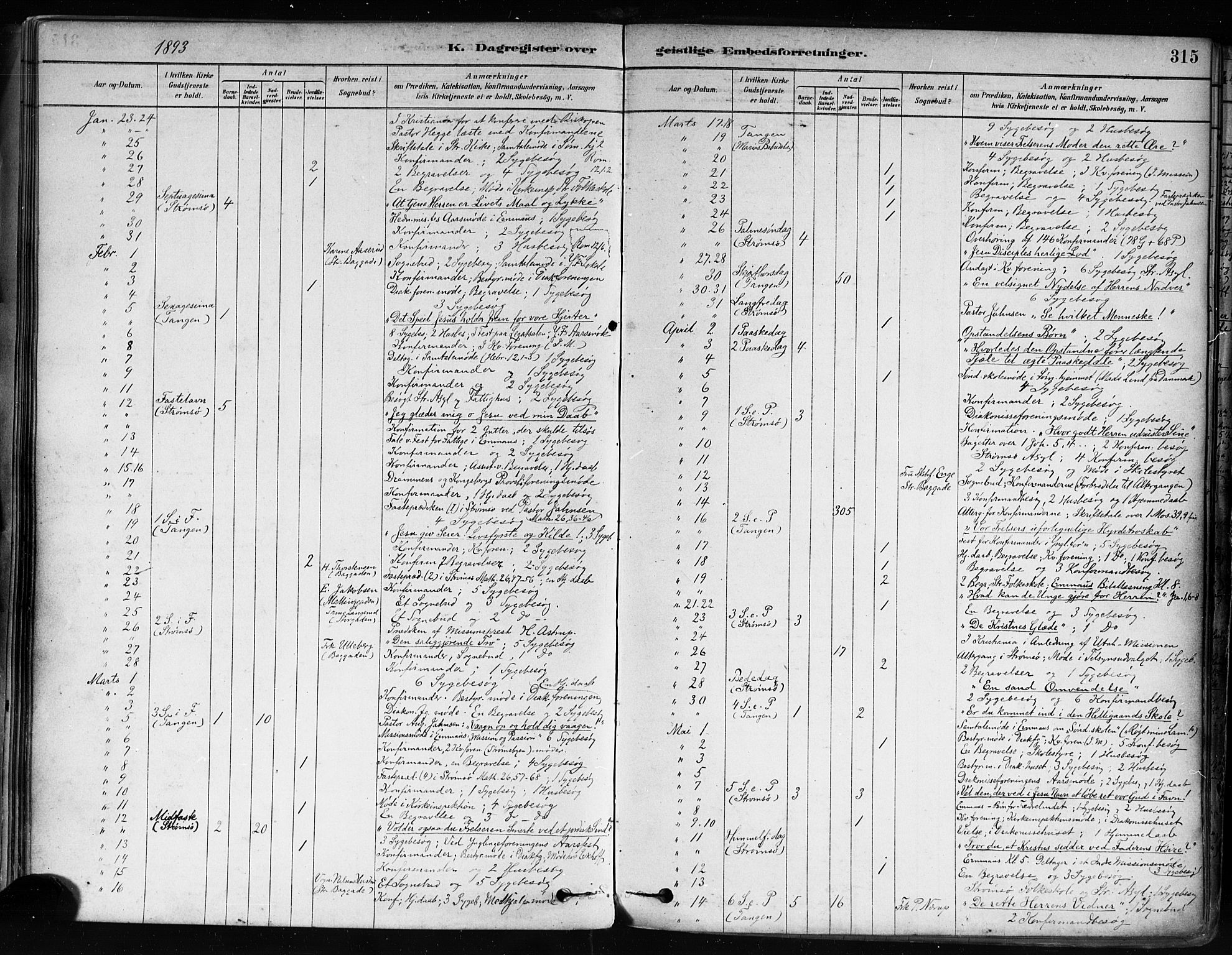 Strømsø kirkebøker, AV/SAKO-A-246/F/Fa/L0022: Ministerialbok nr. I 22, 1879-1899, s. 315