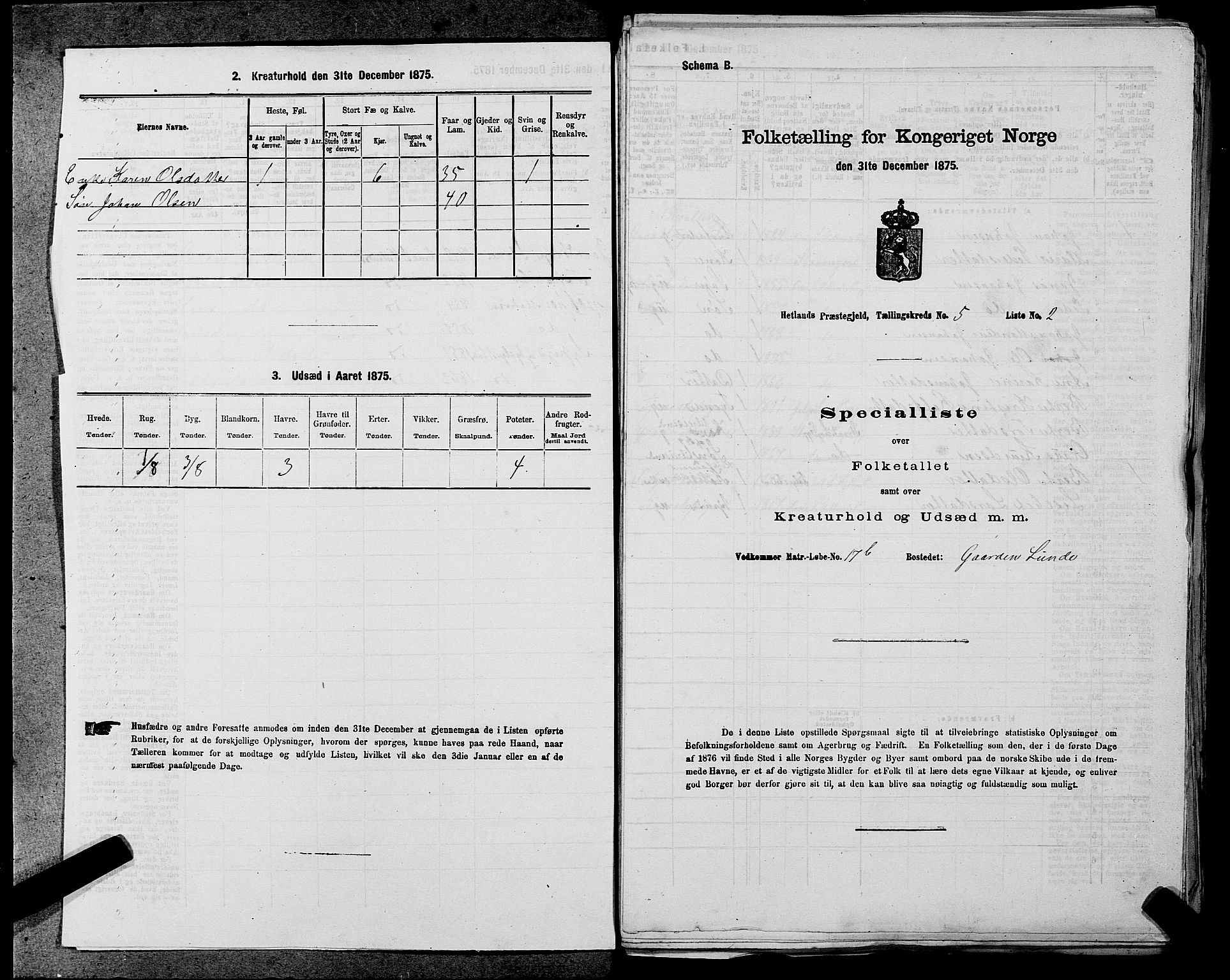 SAST, Folketelling 1875 for 1126P Hetland prestegjeld, 1875, s. 1054